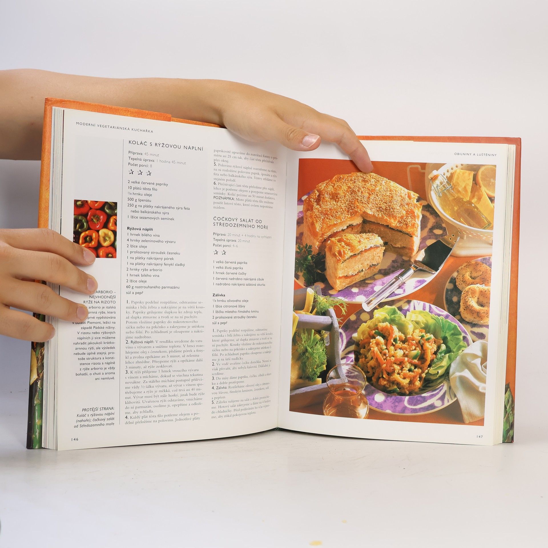 Jana Steinerová Moderní vegetariánská kuchařka
