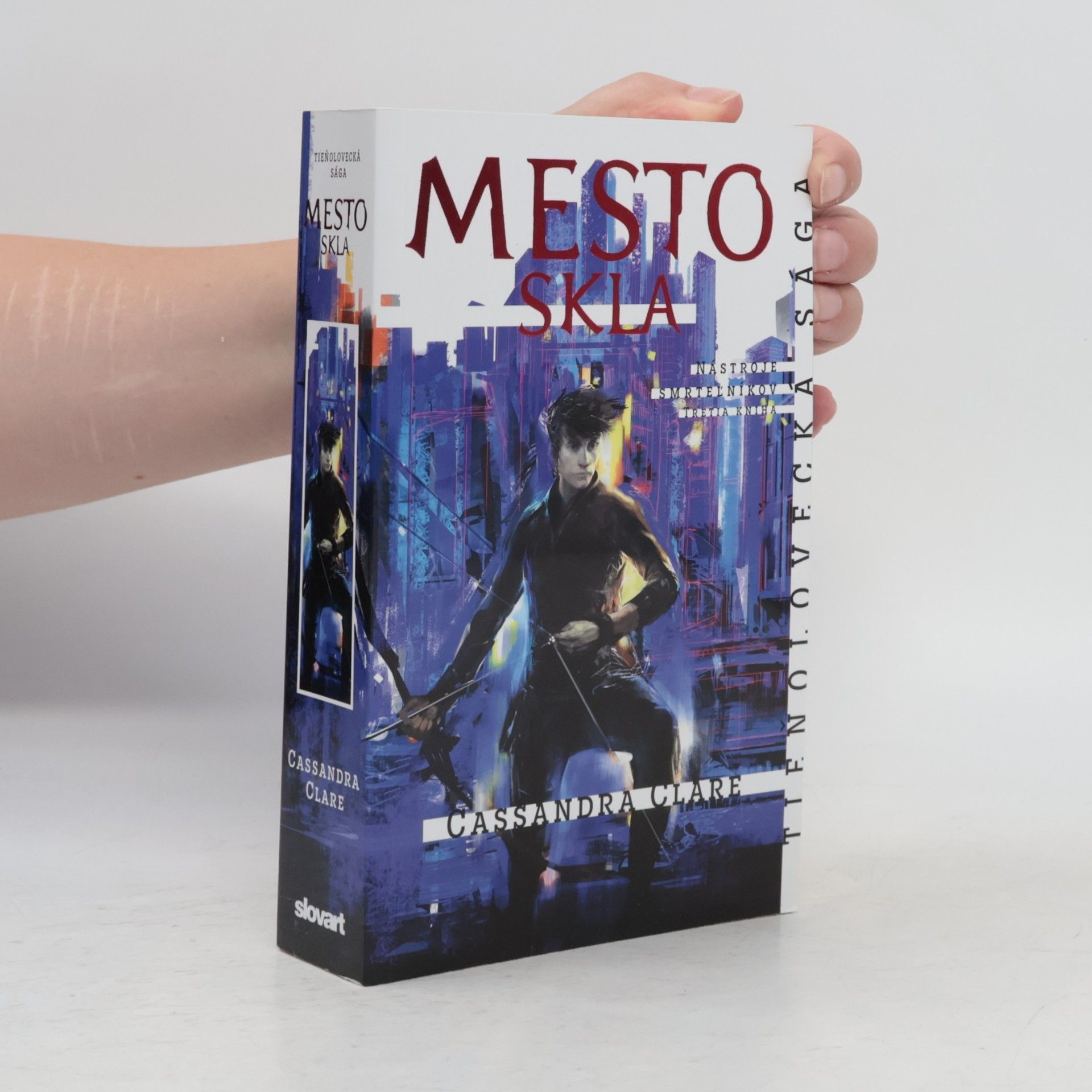 Cassandra Clare Mesto skla