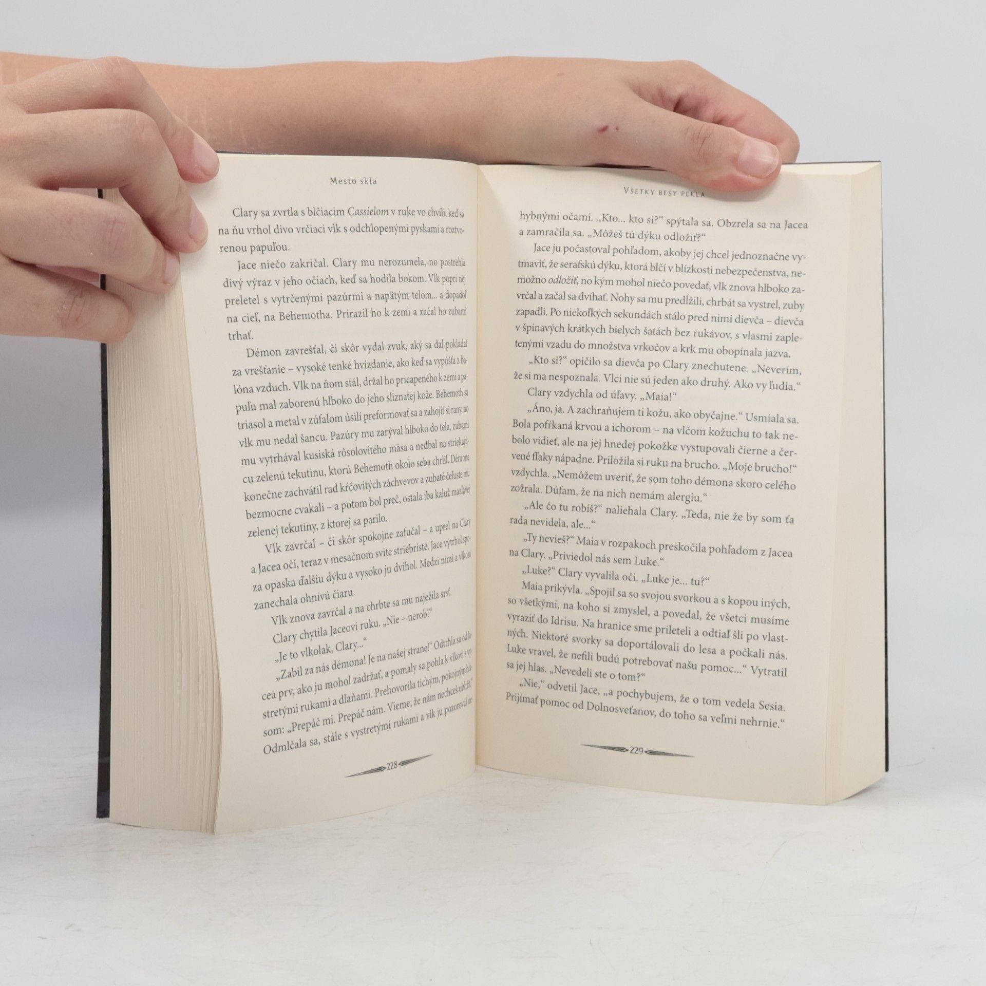 Cassandra Clare Mesto skla