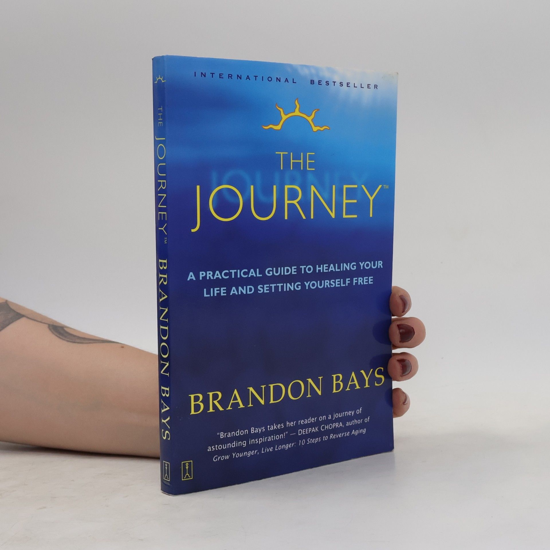 Brandon Bays The Journey