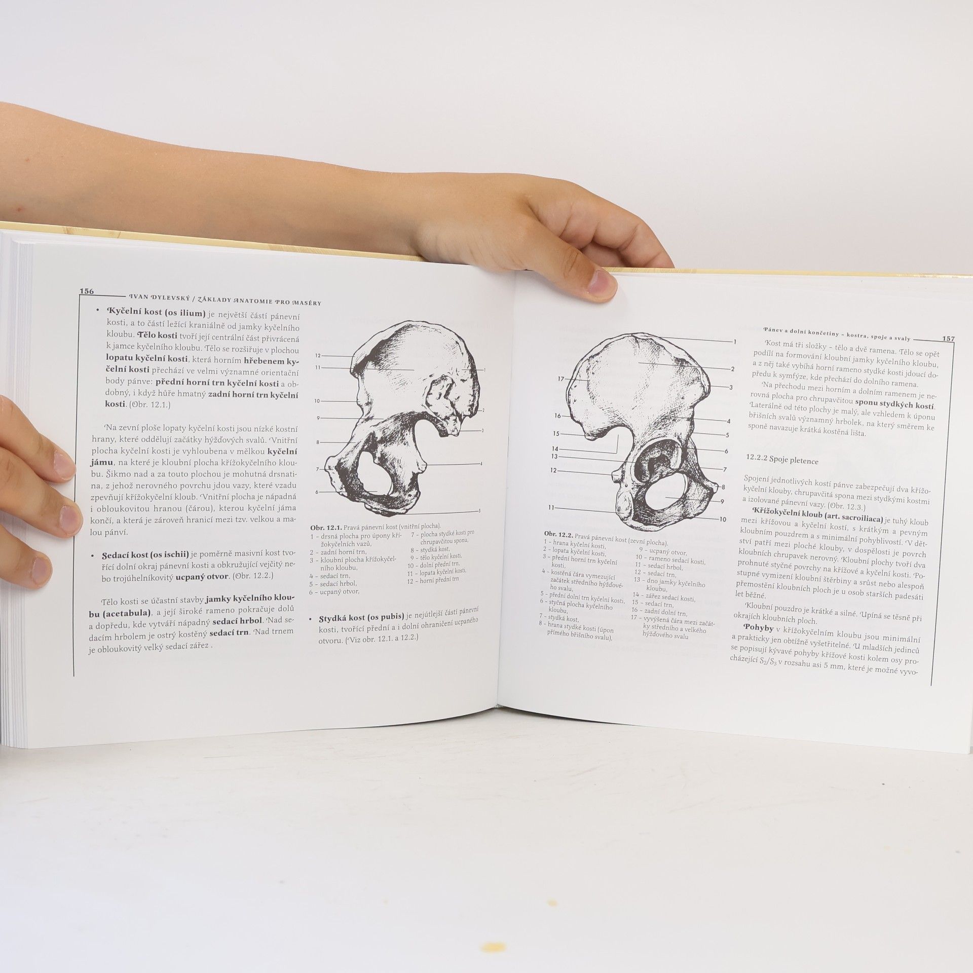 Ivan Dylevský Základy anatomie