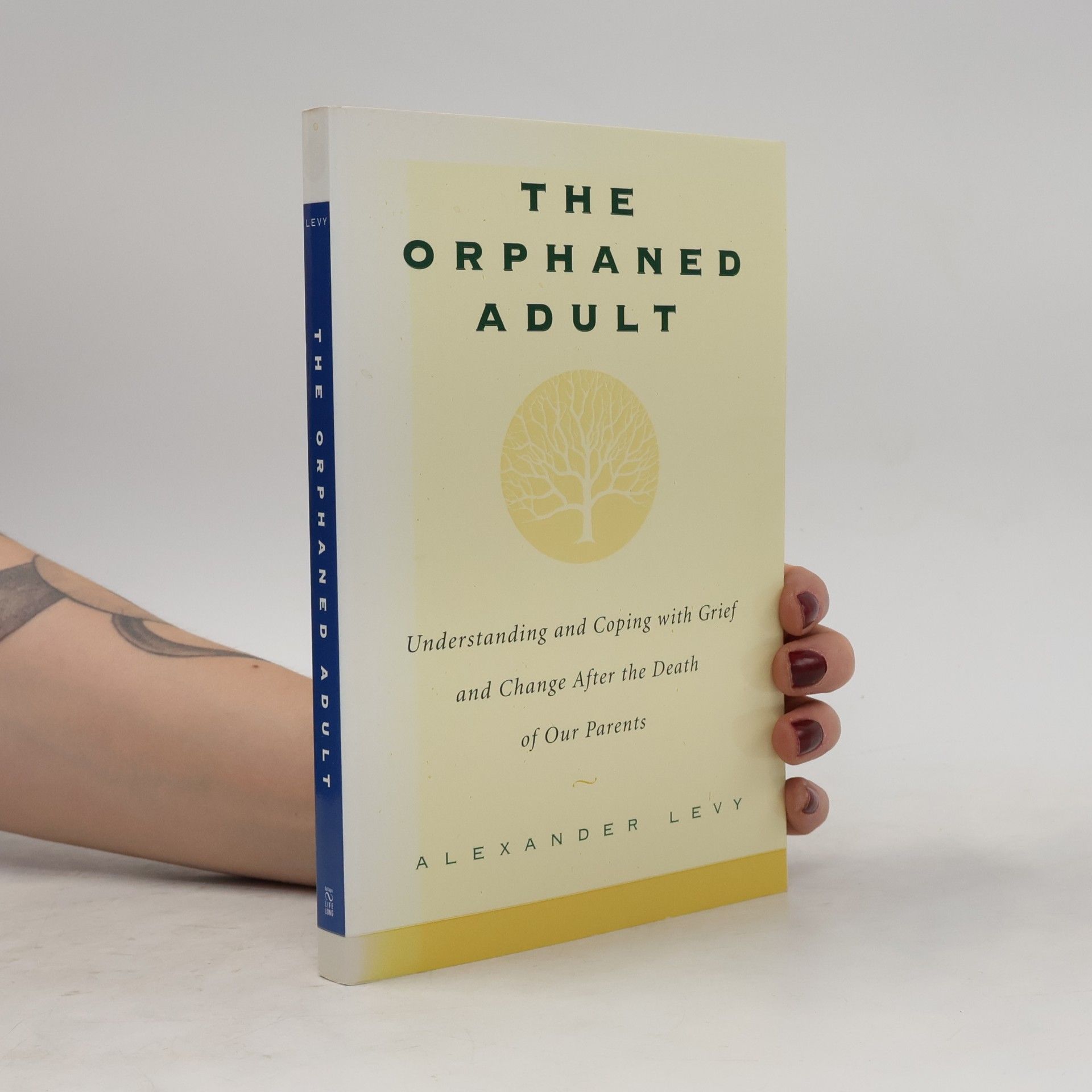Alexander Levy The Orphaned Adult