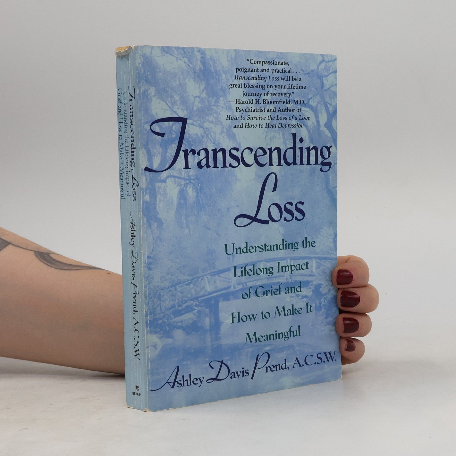 Ashley Davis Prend Transcending Loss