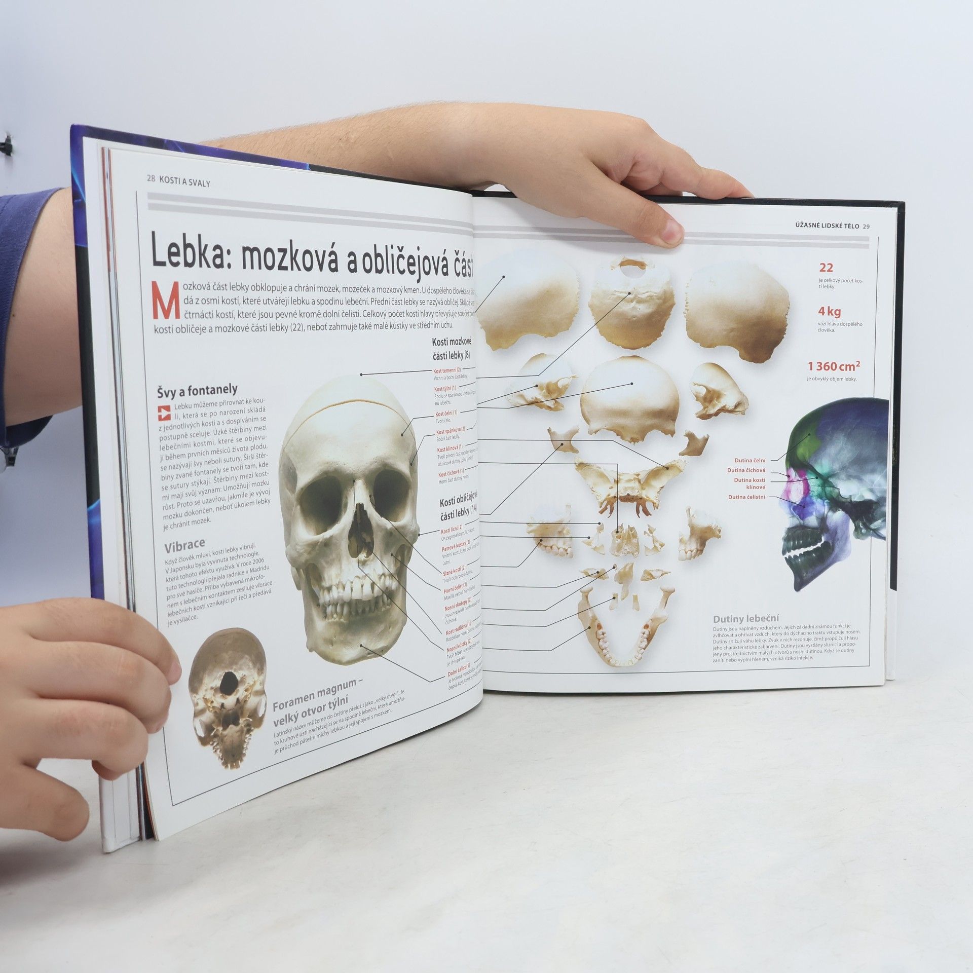 Various authors Úžasné lidské tělo - Jak to funguje?