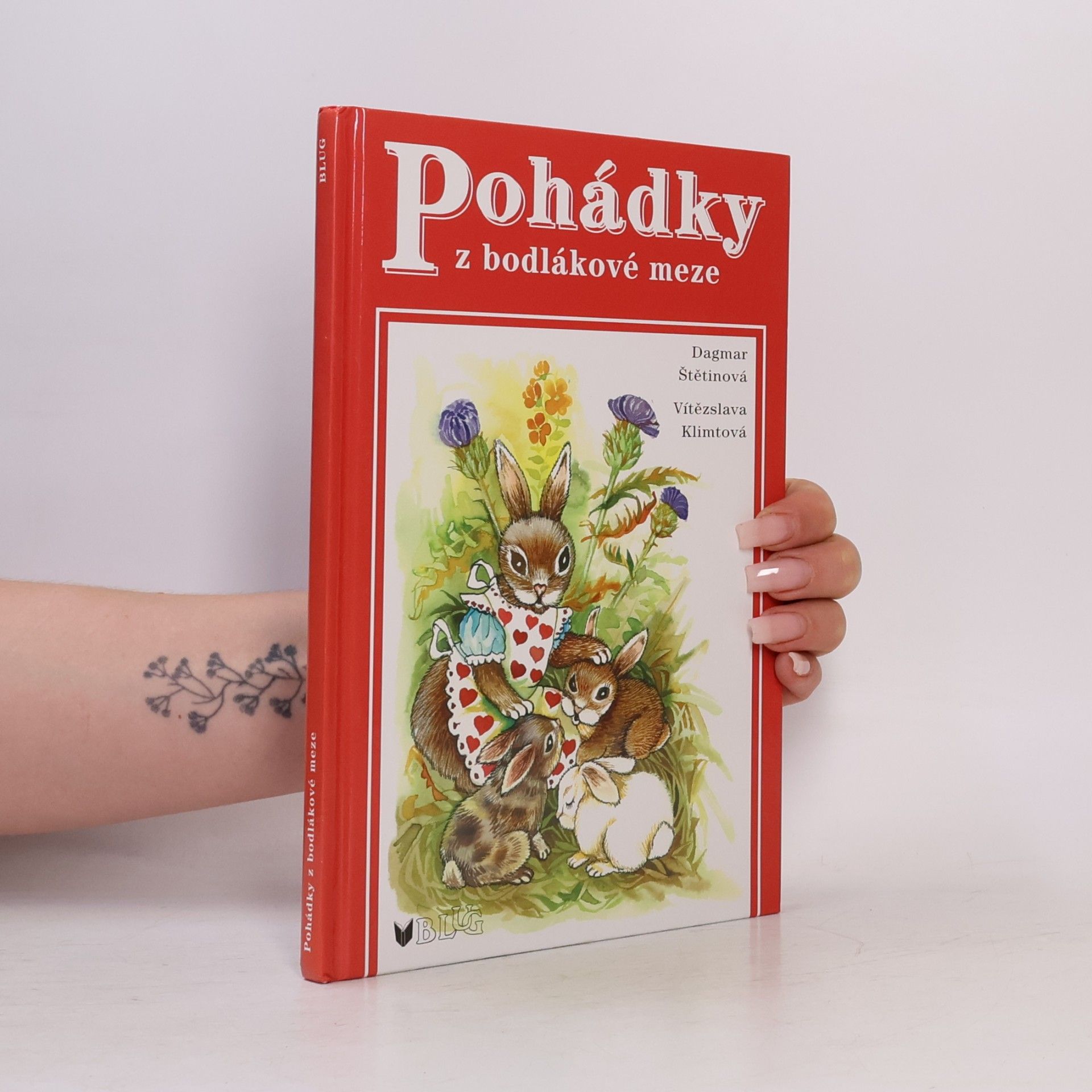 Dagmar Štětinová Pohádky z bodlákové meze