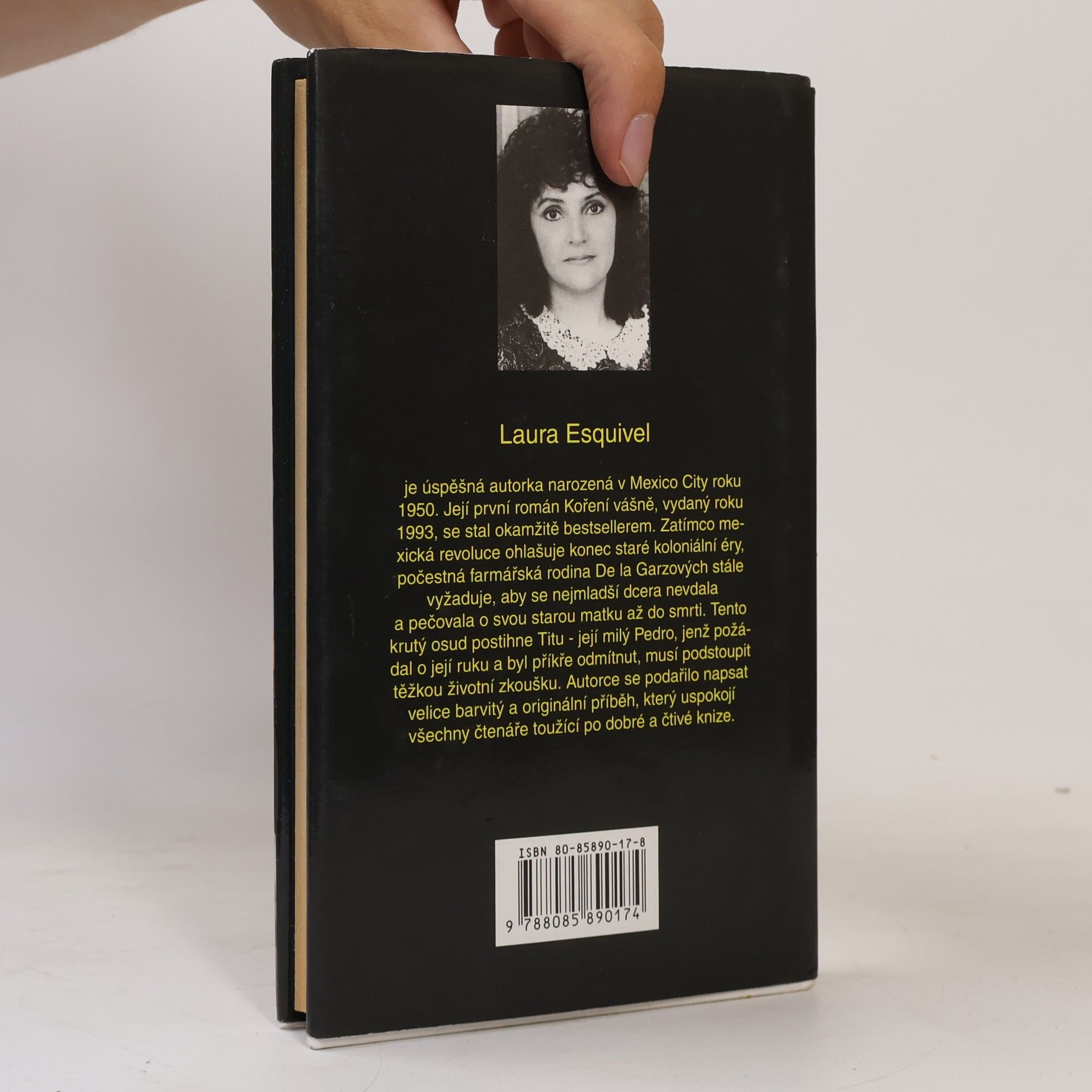 Laura Esquivel Koření vášně