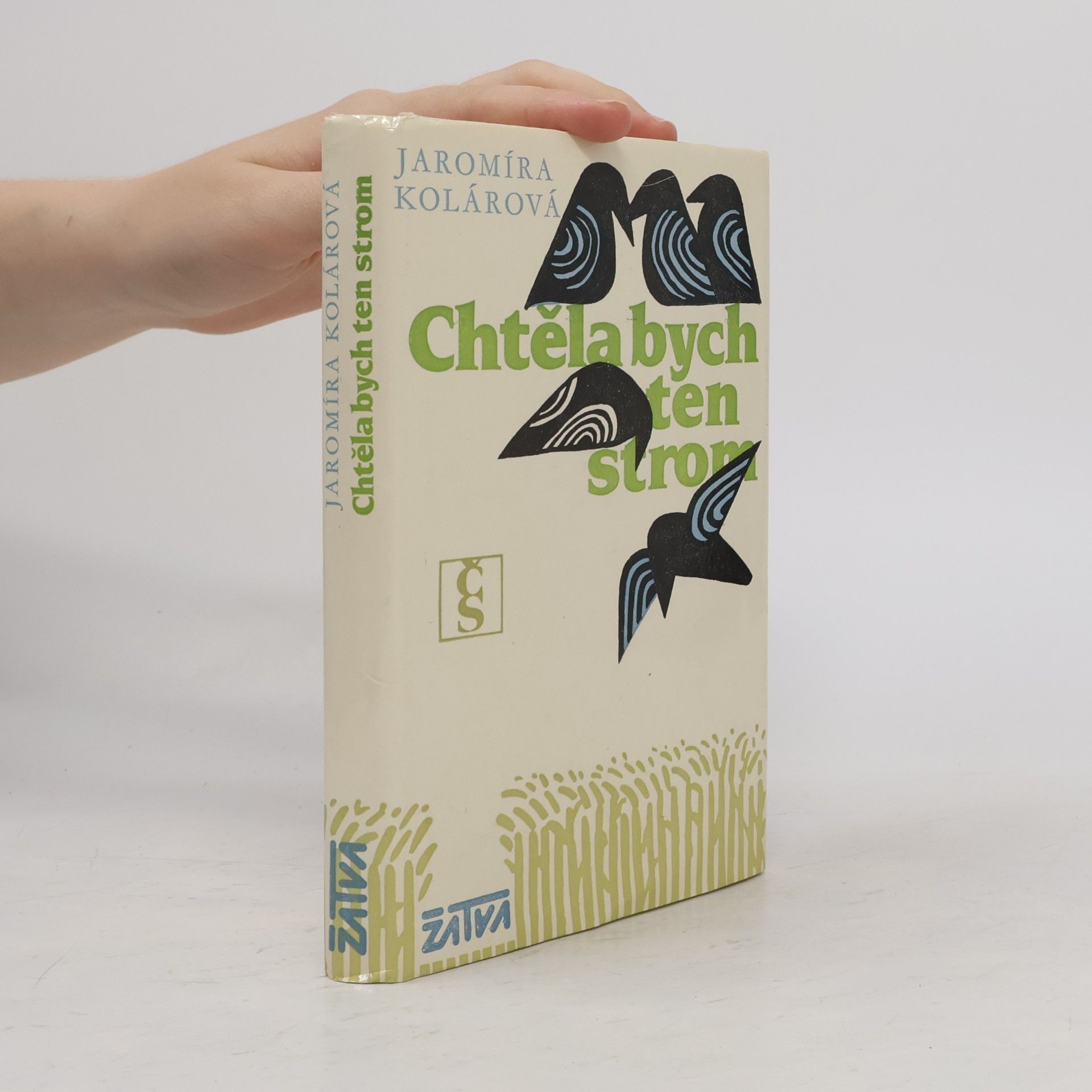 Chtěla bych ten strom