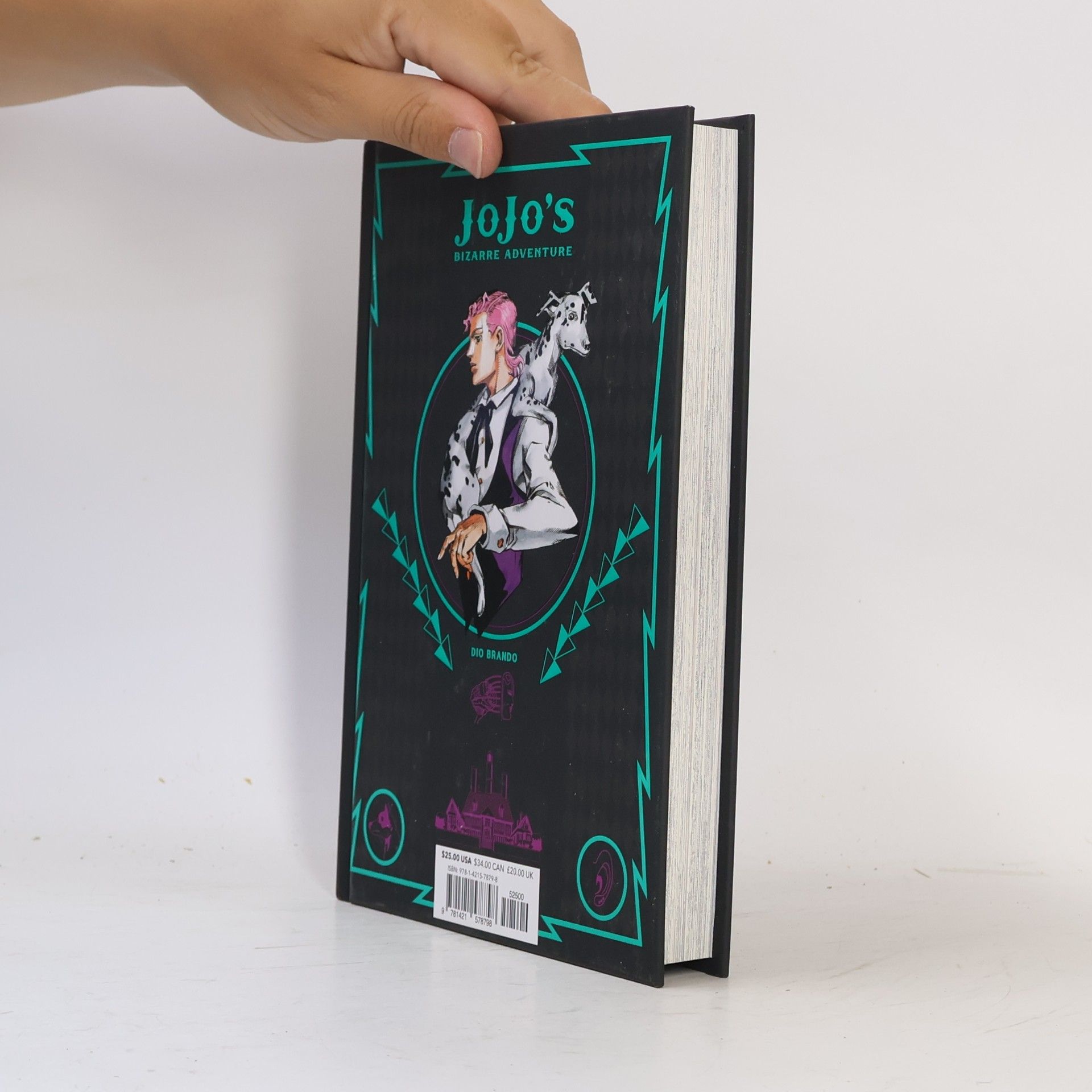 Hirohiko Araki Jojo's bizzare adventures