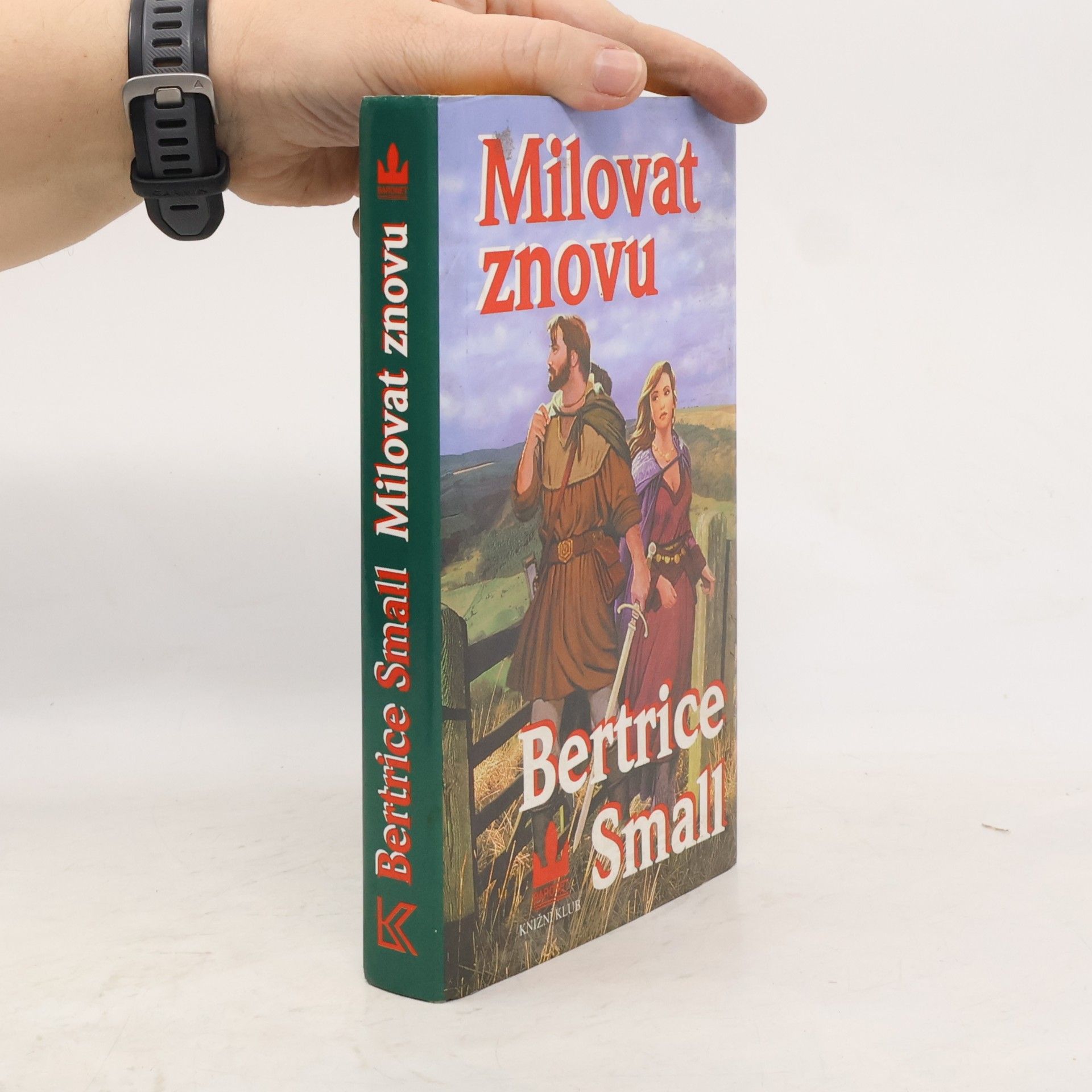 Bertrice Small Milovat znovu