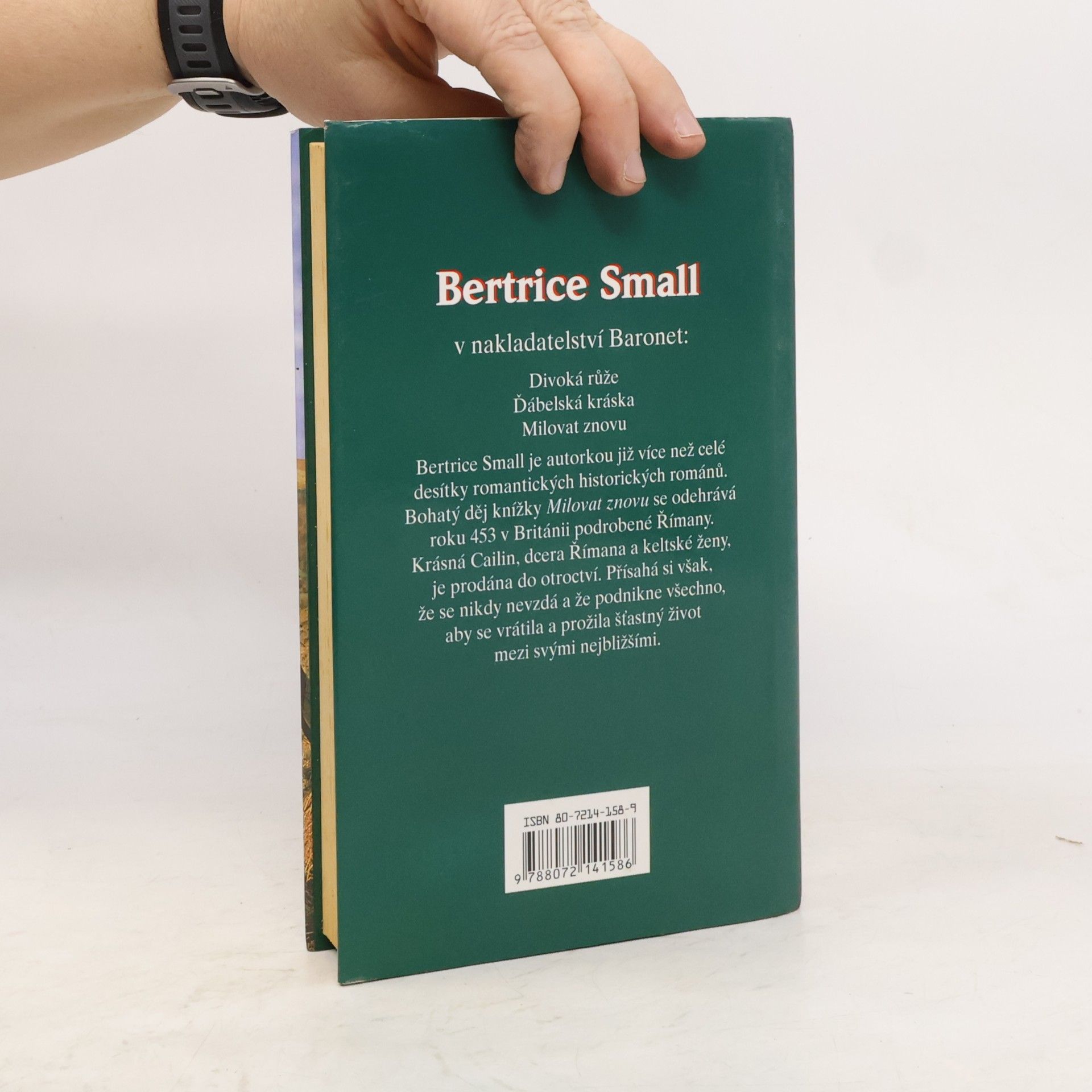 Bertrice Small Milovat znovu