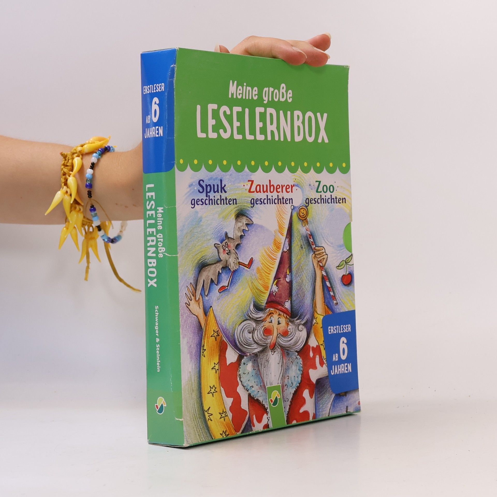 Meine große Leselernbox - Spukgeschichten, Zauberergeschichten, Zoogeschichten