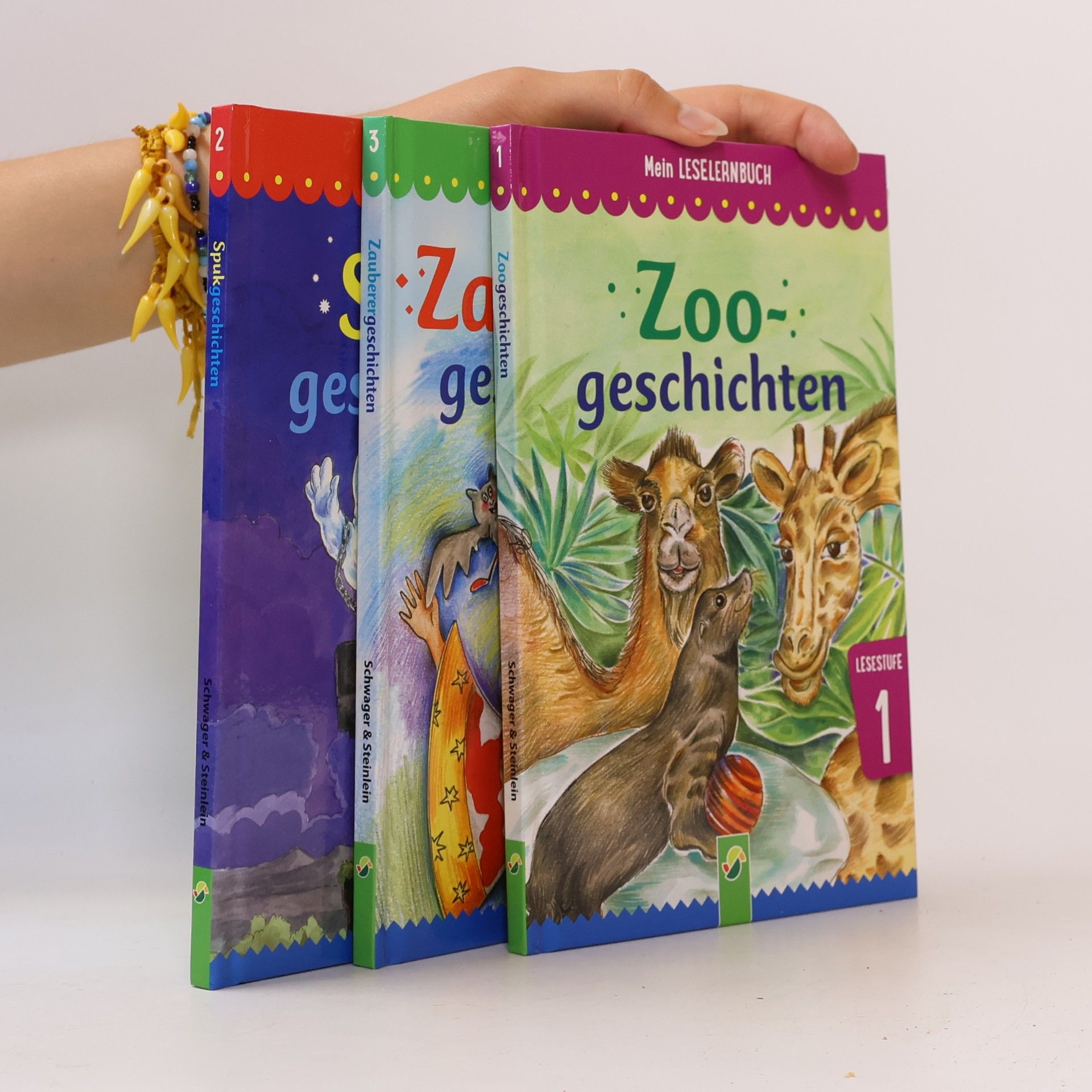 Marion Clausen Meine große Leselernbox - Spukgeschichten, Zauberergeschichten, Zoogeschichten