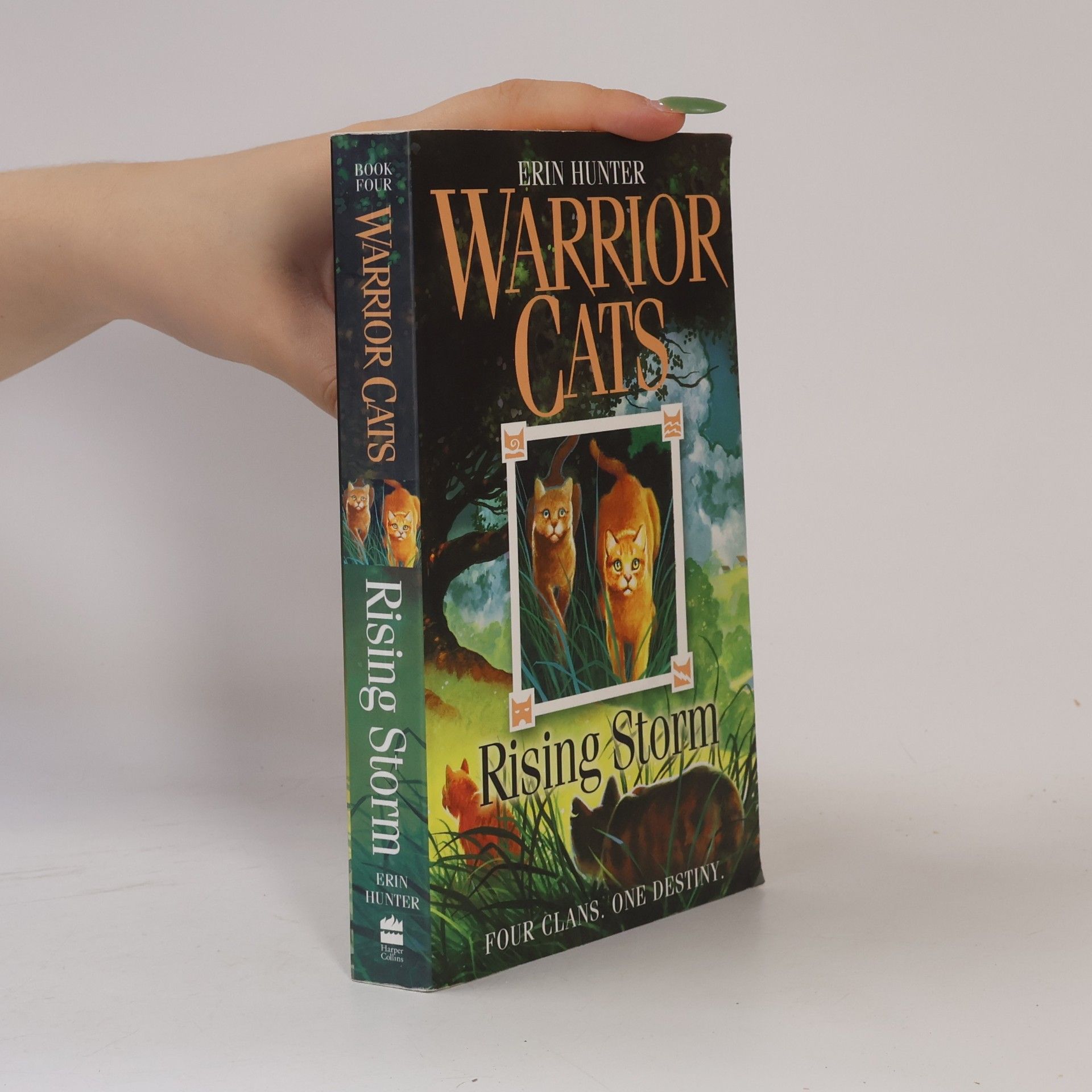 Erin Hunter Warrior Cats 4 - Rising Storm