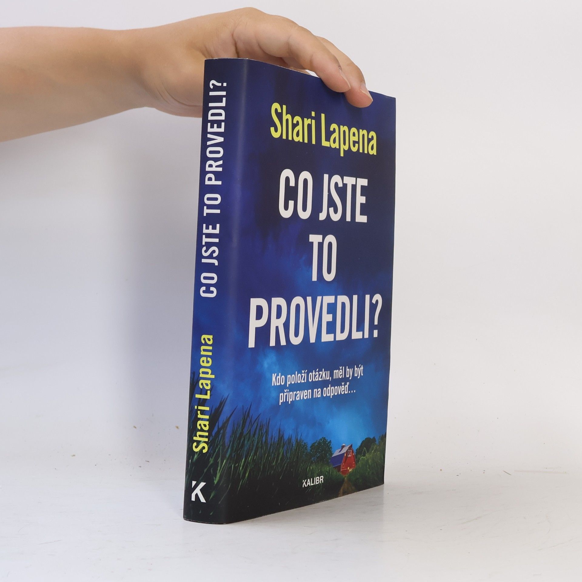 Shari Lapena Co jste to provedli?