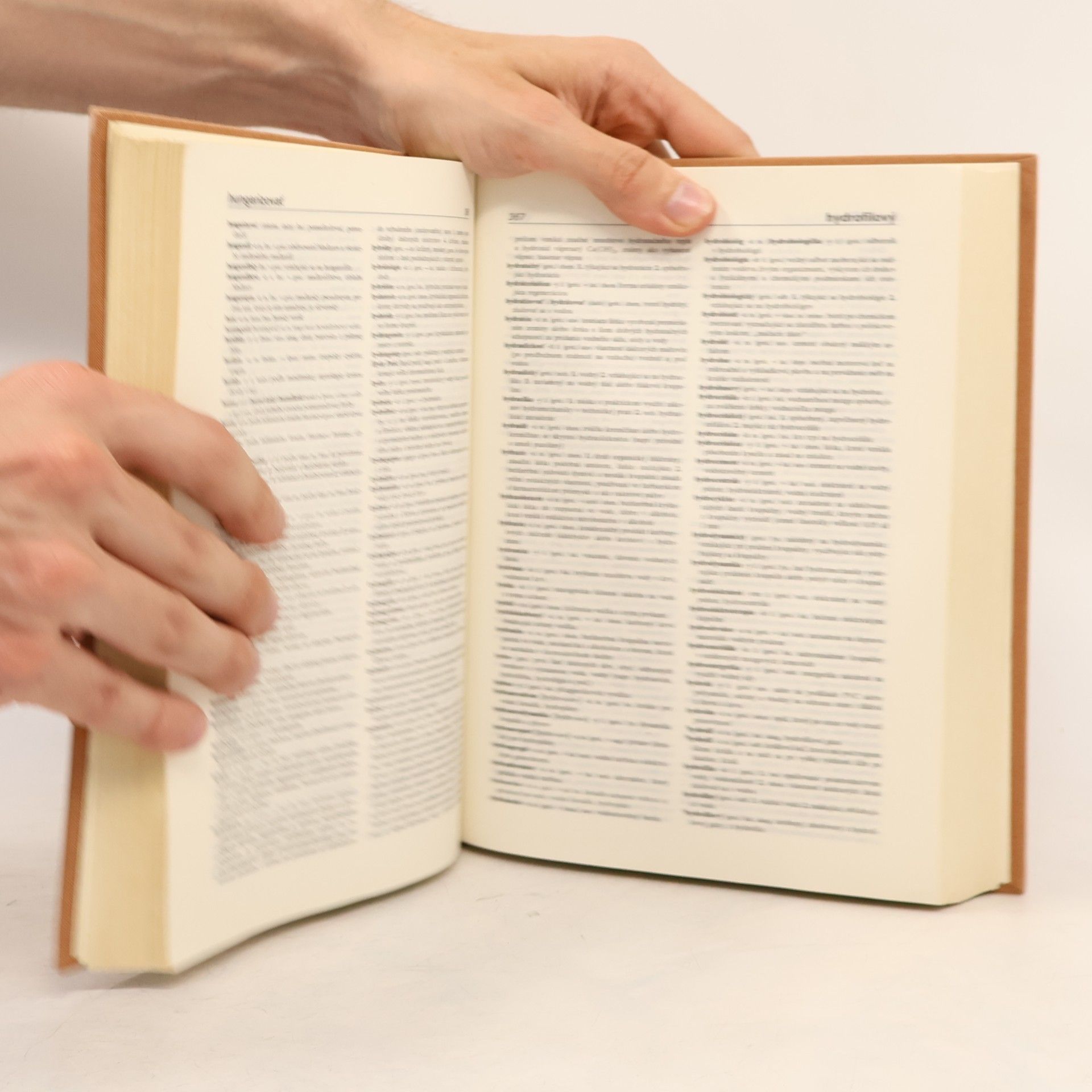Zuzana Maníková Slovník cudzích slov A/Z