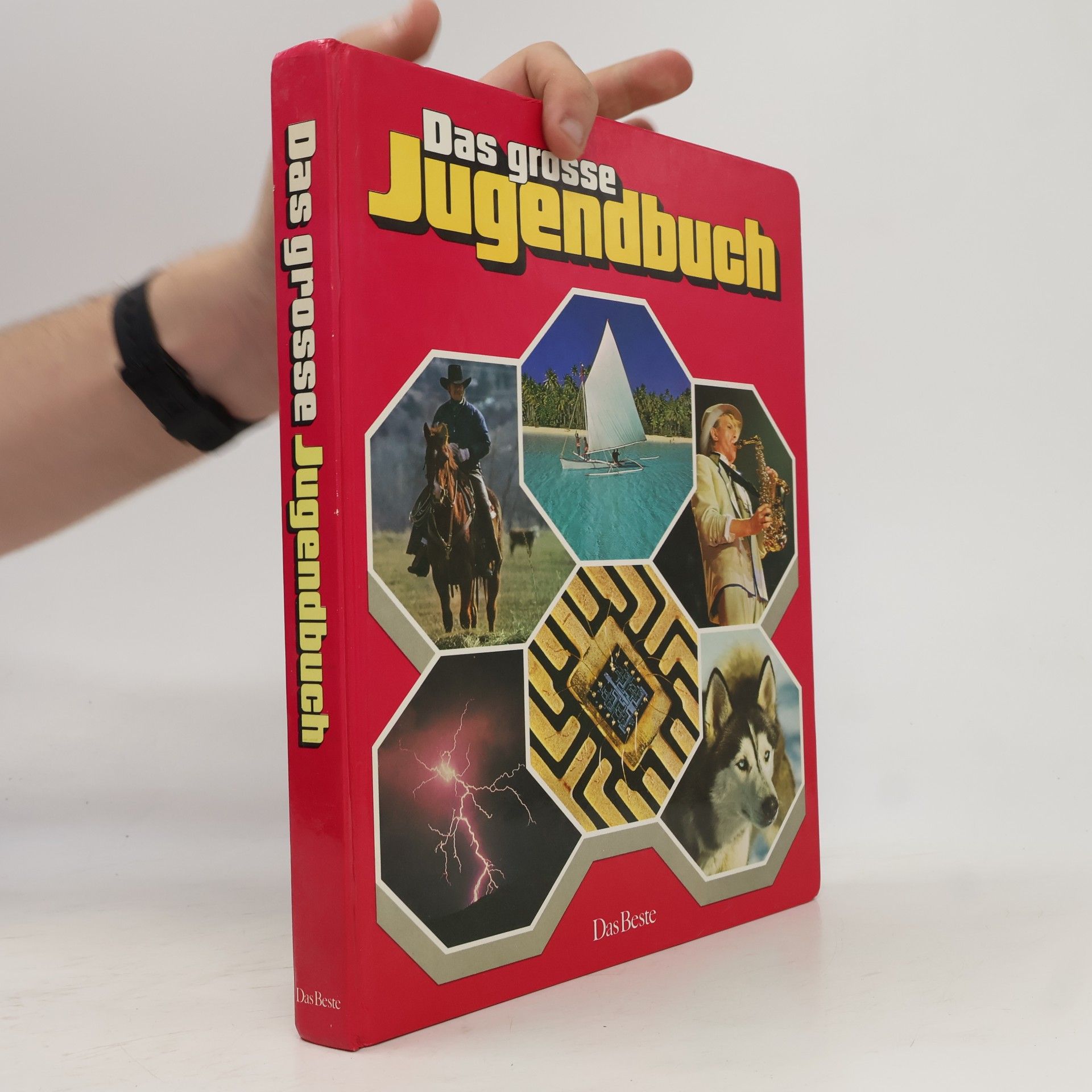 Autores varios Das große Jugendbuch