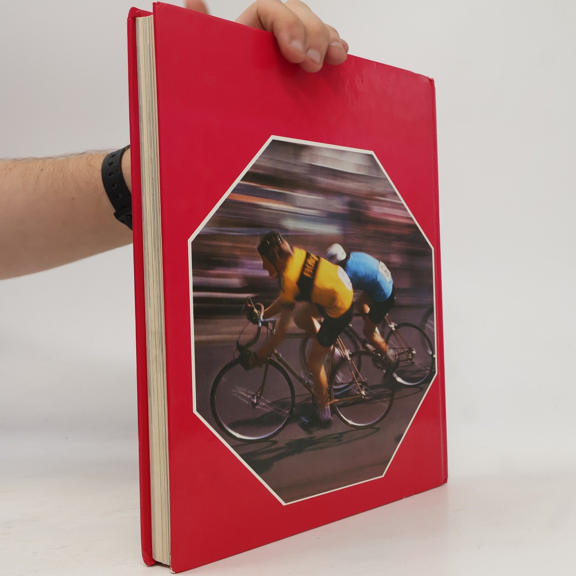AA.VV. Das große Jugendbuch