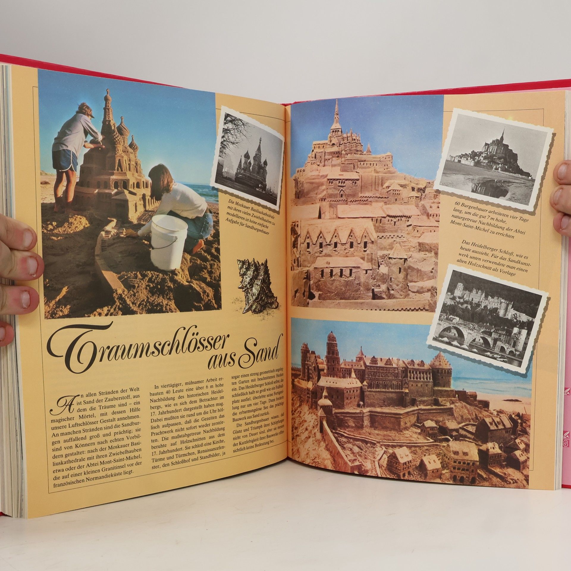 AA.VV. Das große Jugendbuch