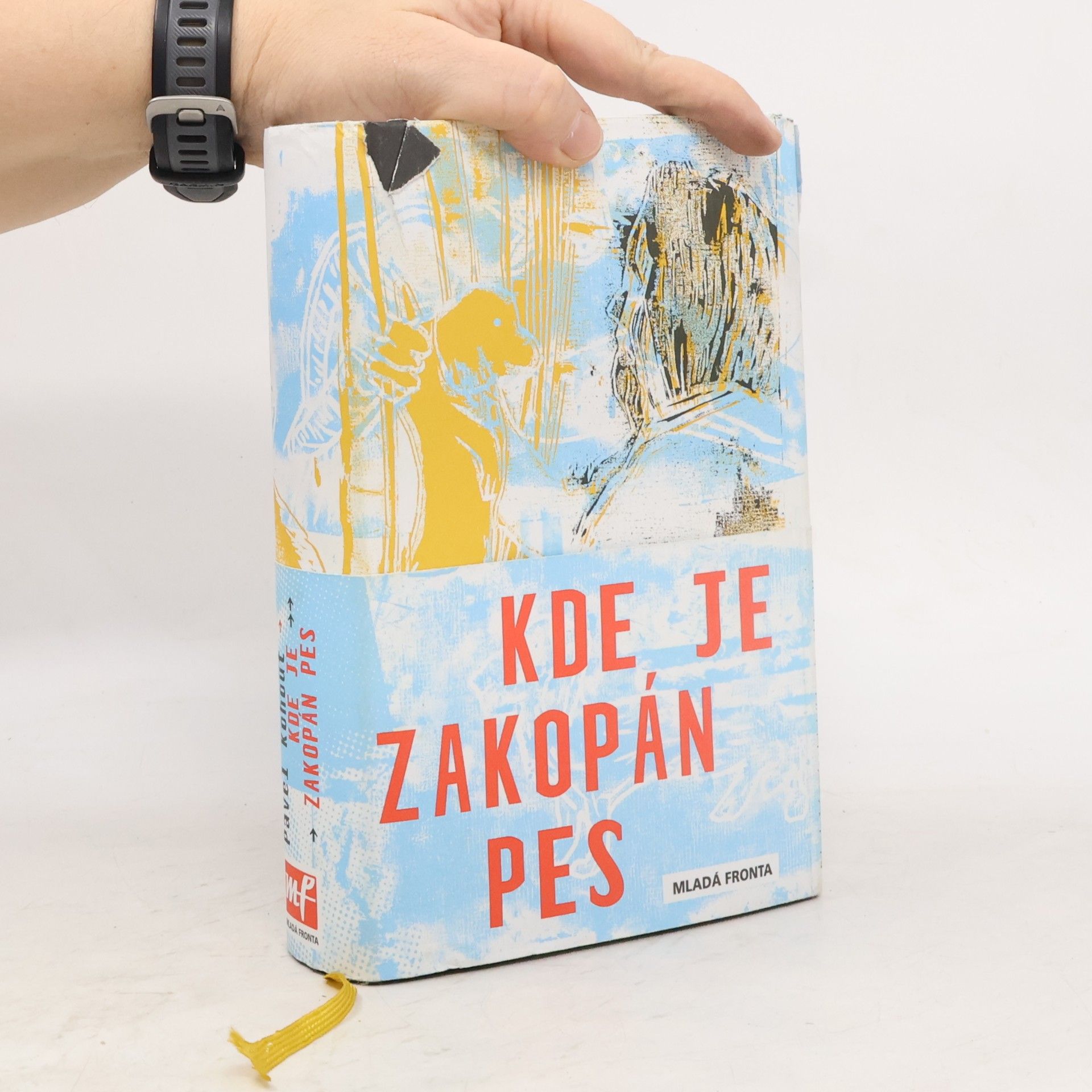 Pavel Kohout Kde je zakopán pes