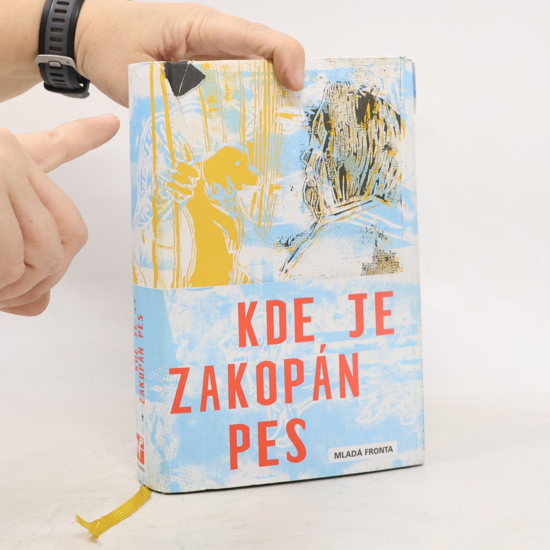 Pavel Kohout Kde je zakopán pes