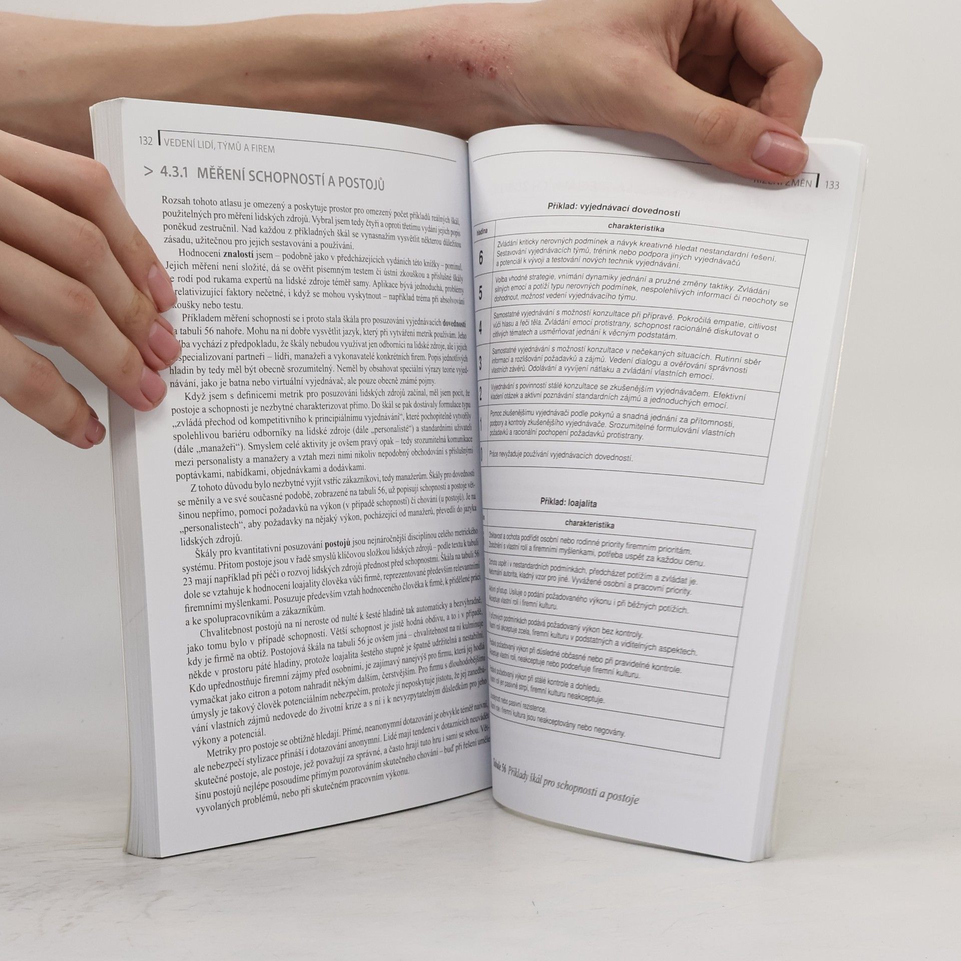 Jiří Plamínek Vedení lidí, týmů a firem. Praktický atlas managementu