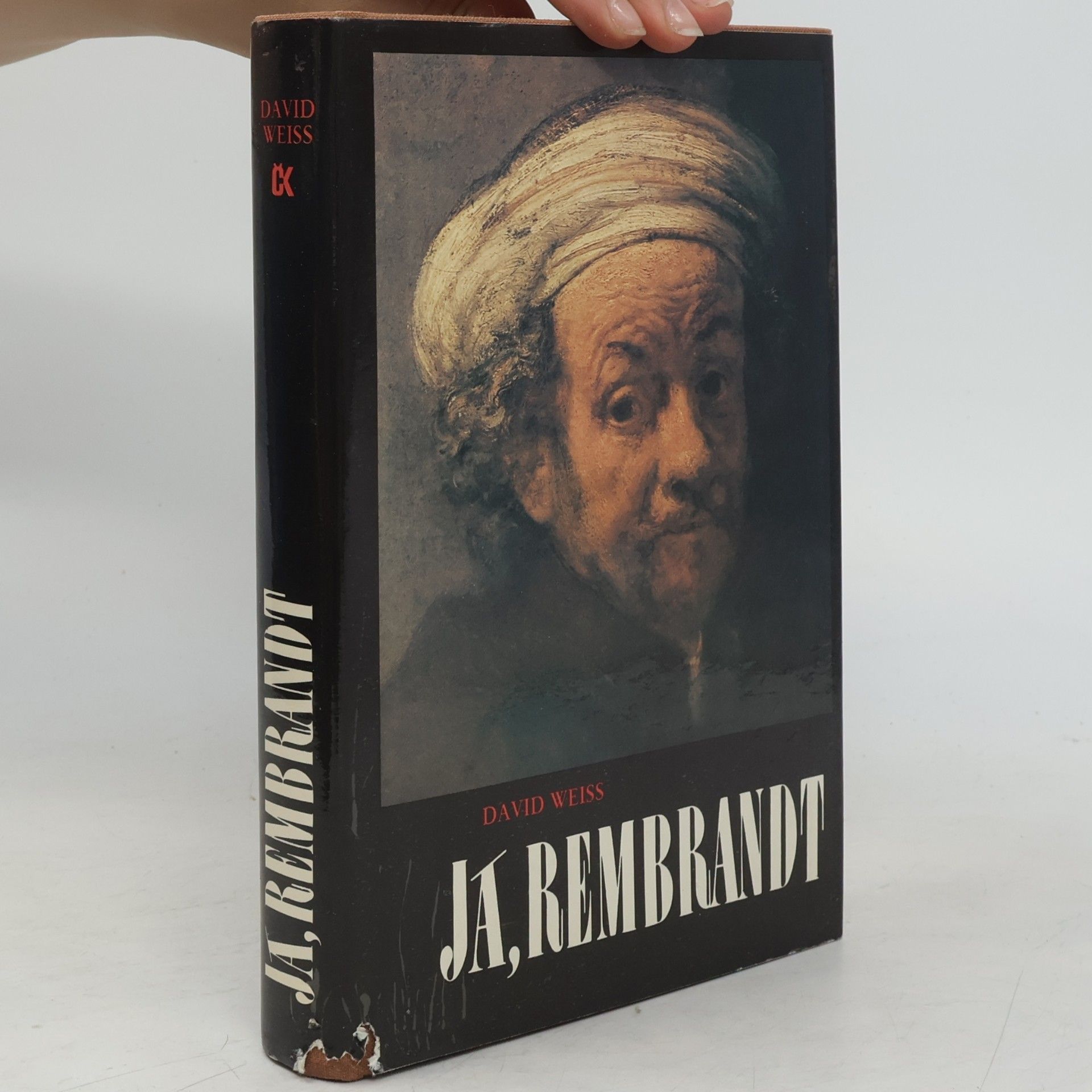 David Weiss Já, Rembrandt