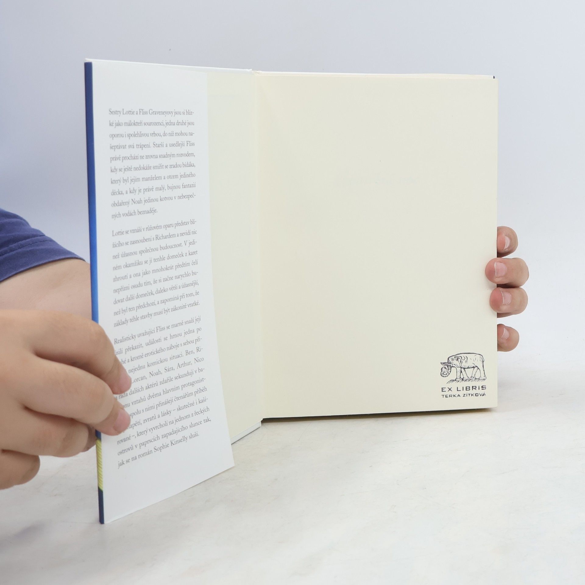 Sophie Kinsella Svatební noc