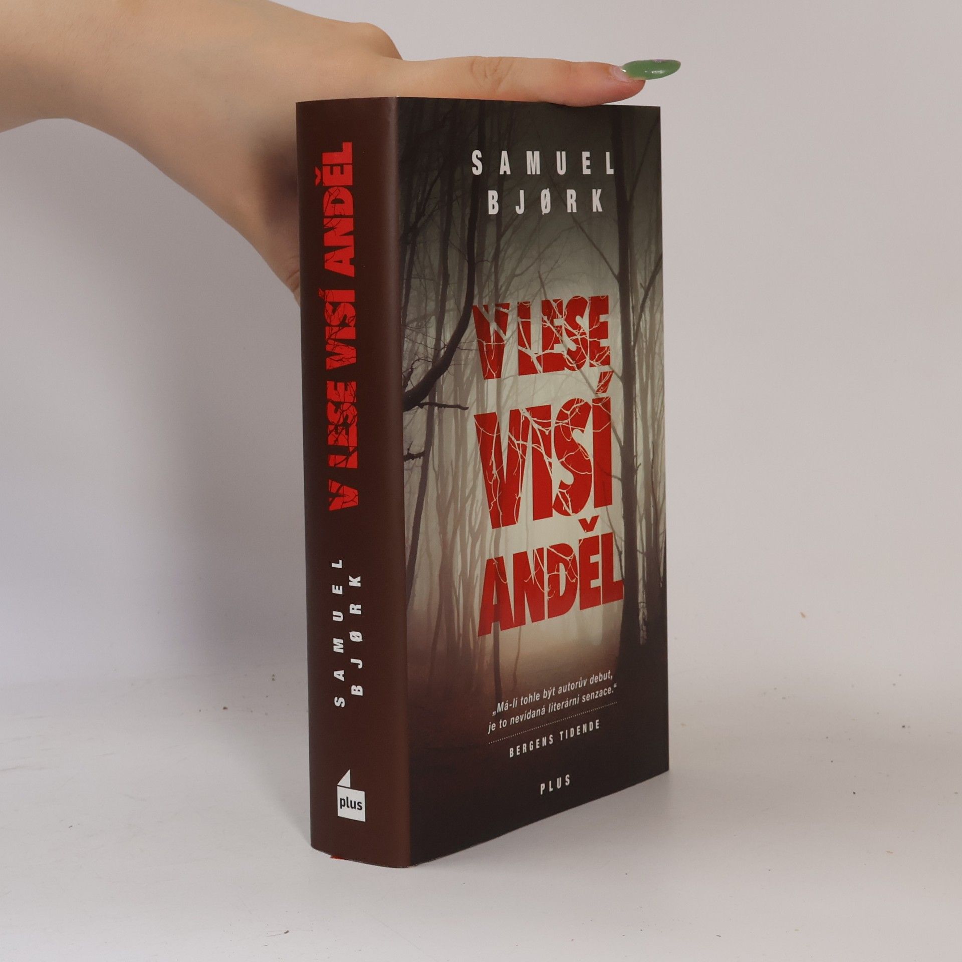 Samuel Bjork V lese visí anděl