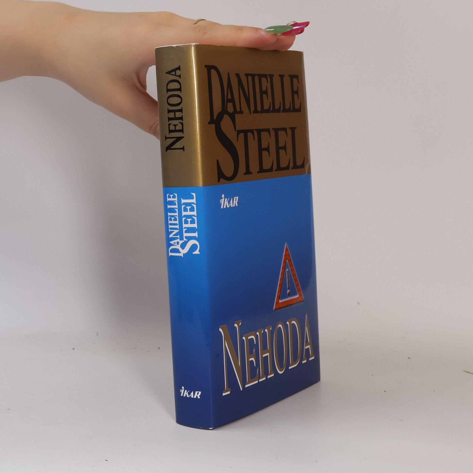 Danielle Steel Nehoda