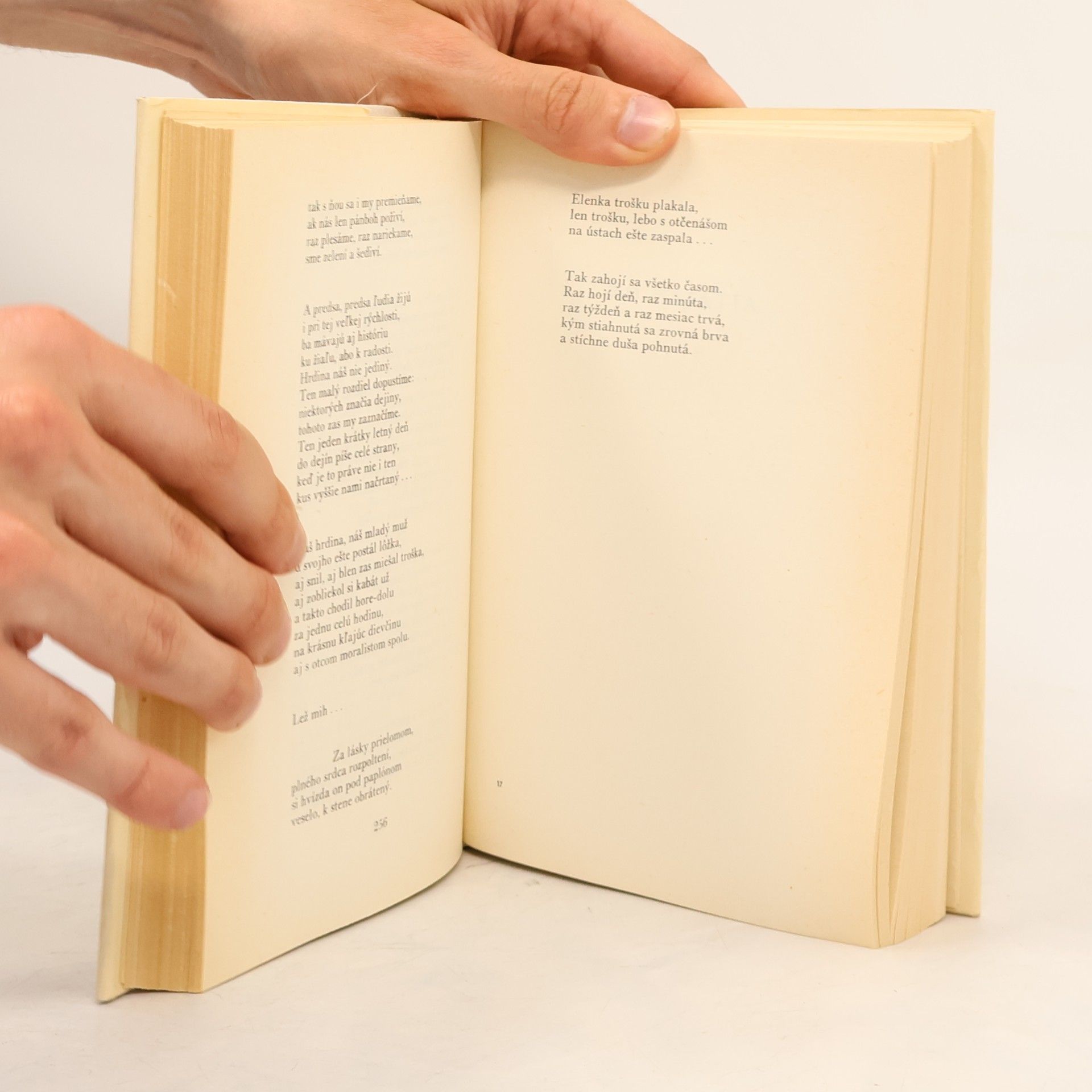 Autorenkollektiv Zlatý fond slovenskej literatúry. Jesenský I.