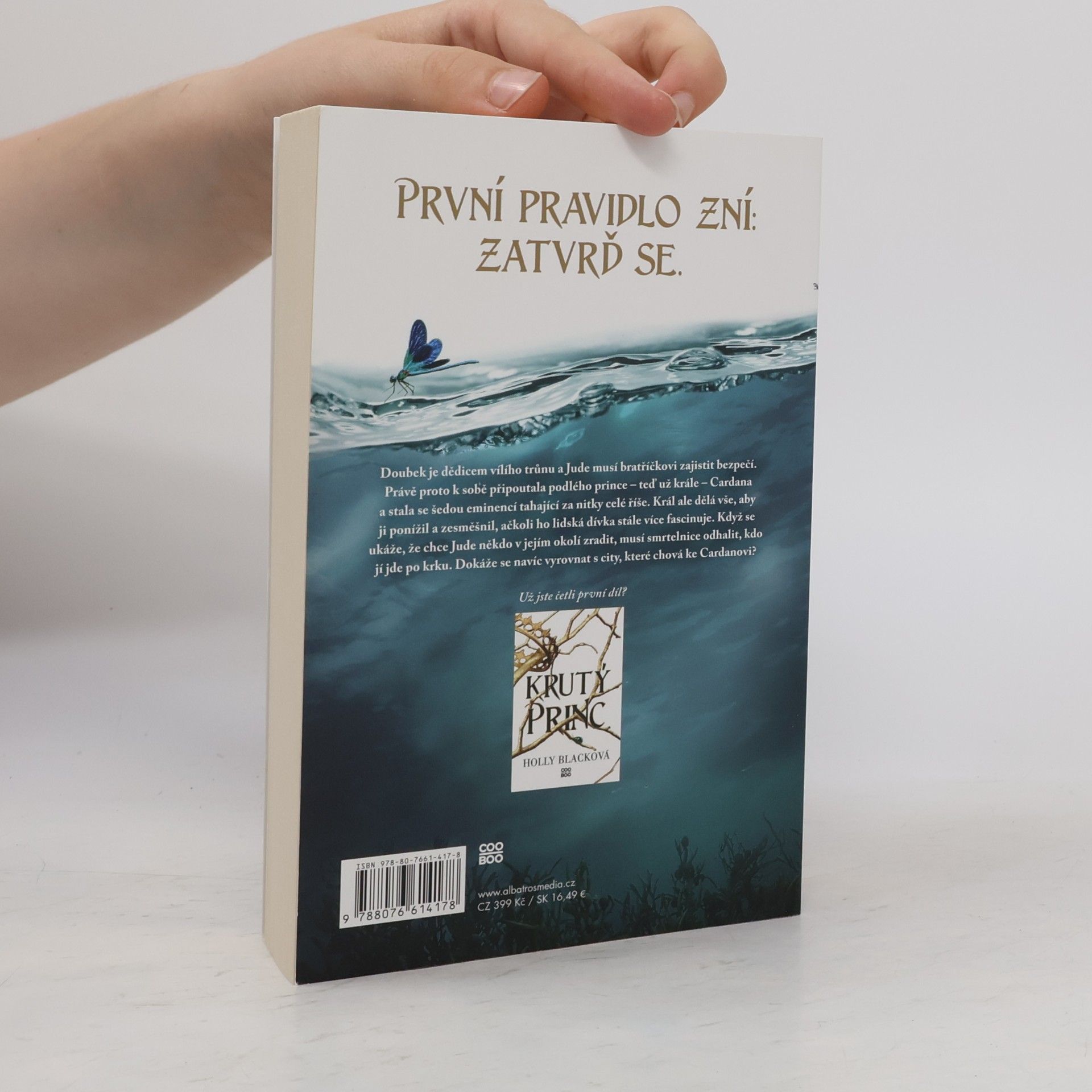 Holly Black Podlý král