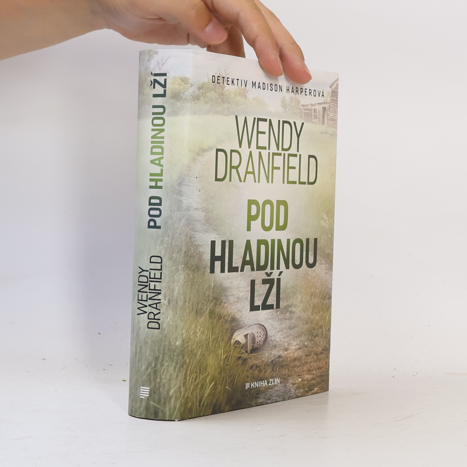 Wendy Dranfield Pod hladinou lží