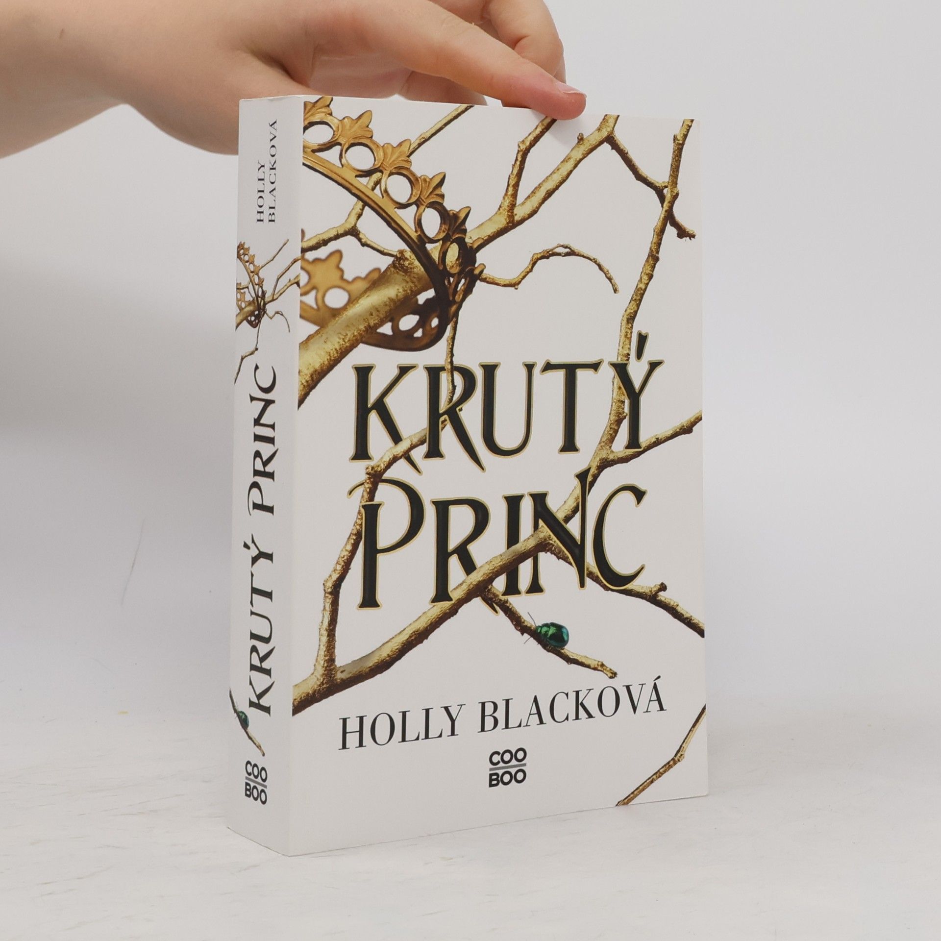 Holly Black Krutý princ