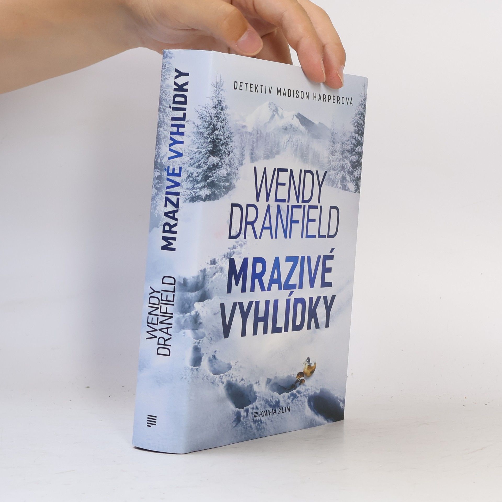 Wendy Dranfield Mrazivé vyhlídky