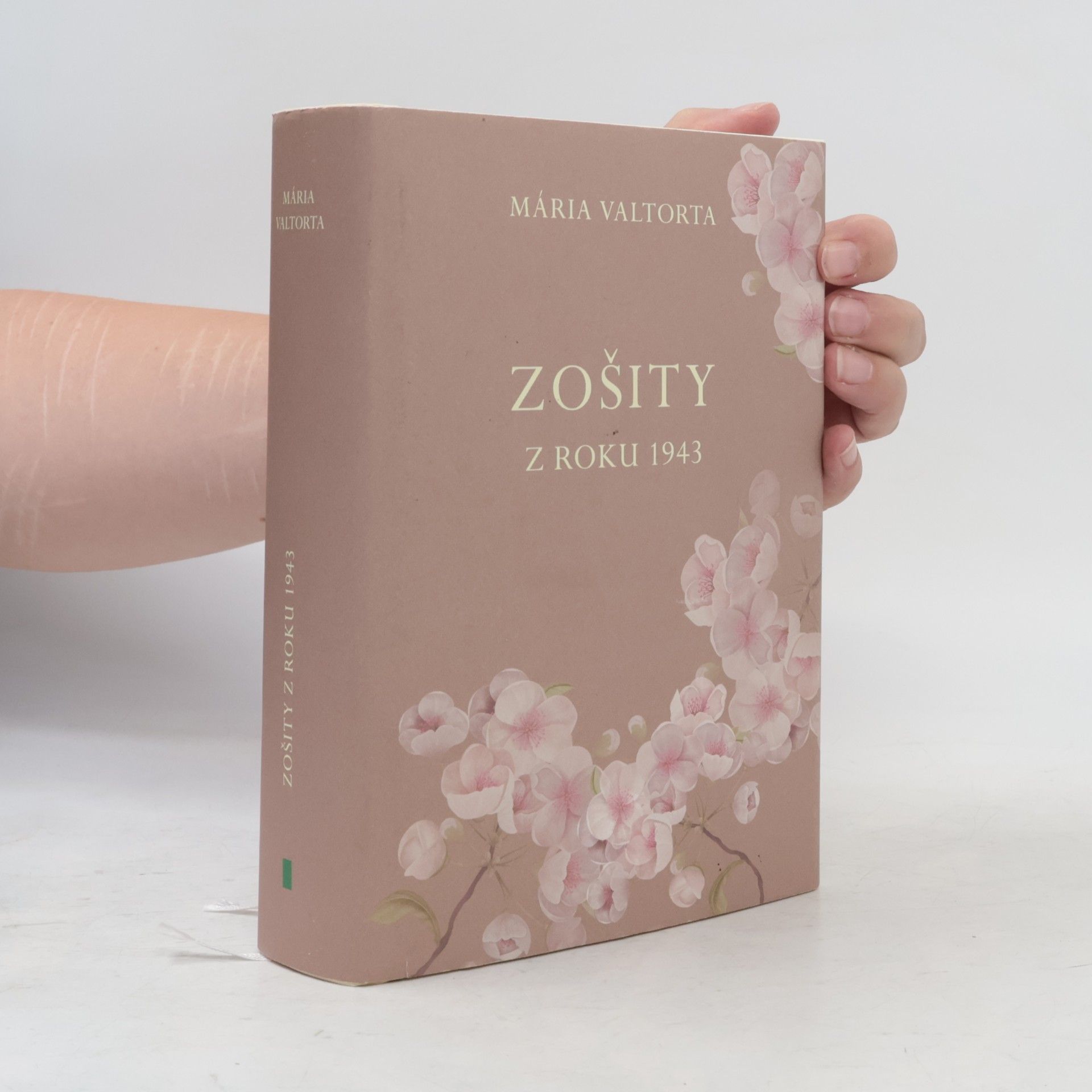 Maria Valtorta Zošity z roku 1943