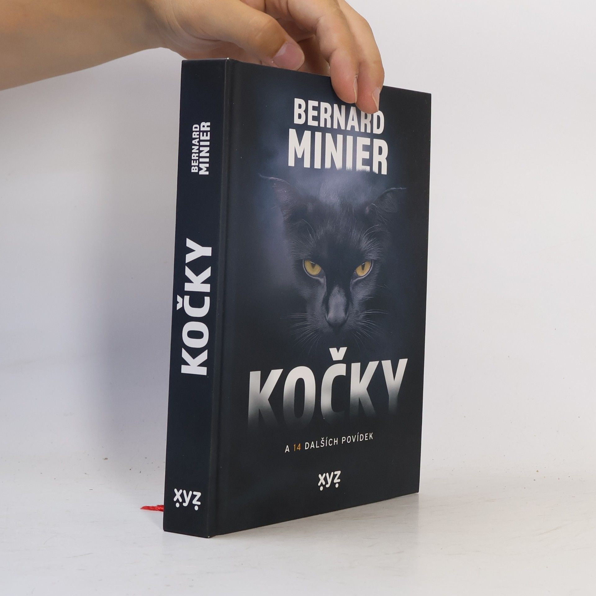 Kočky