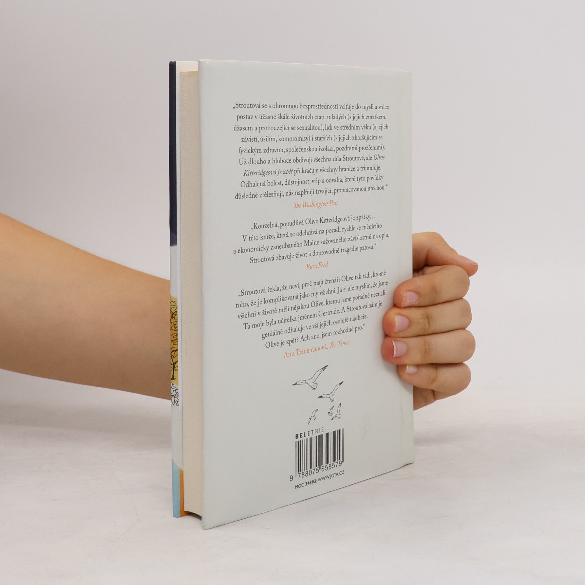 Elizabeth Strout Olive Kitteridgeová je zpět