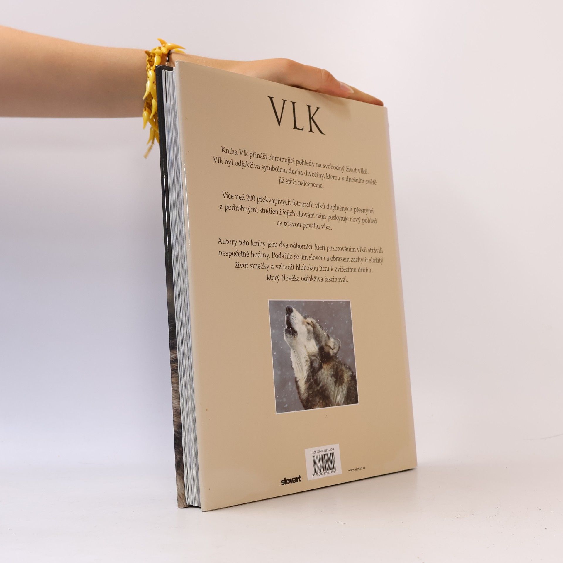 Shaun Ellis Vlk: Fascinující pohledy a fotografie budící obdiv