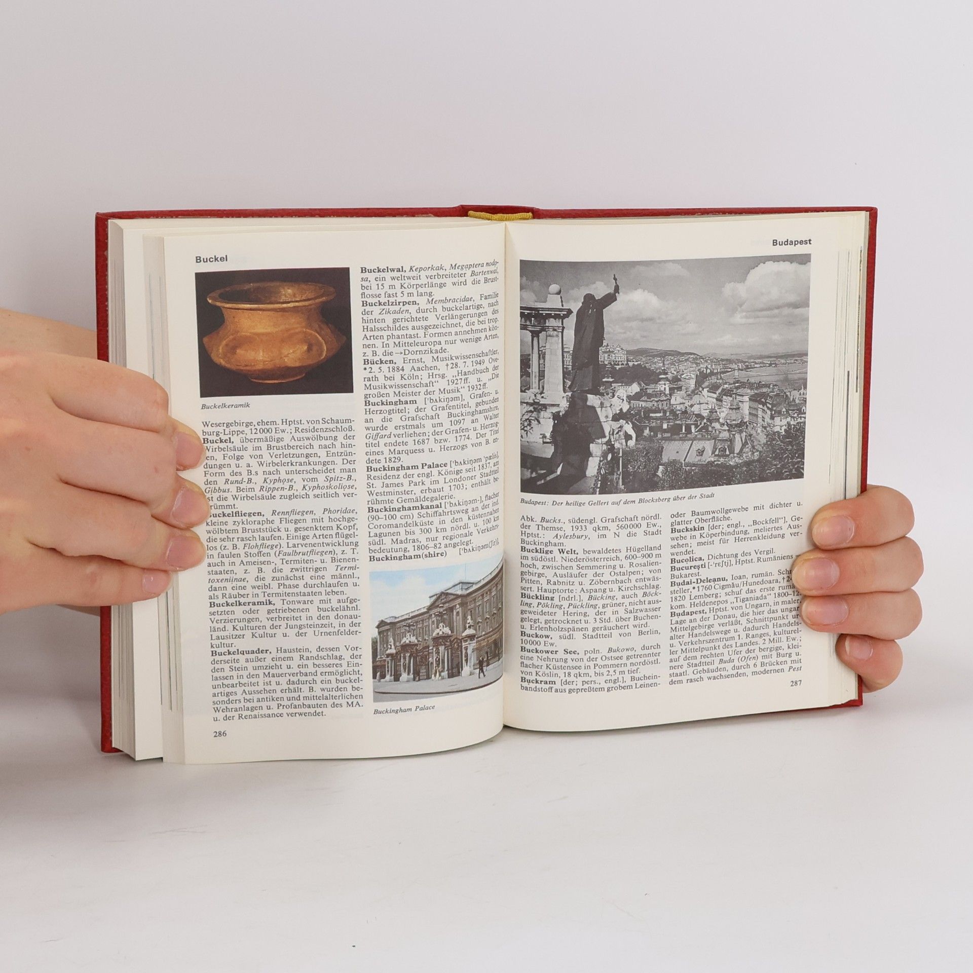 Kolektiv autorů Das moderne Lexikon 3. Bf-Cha