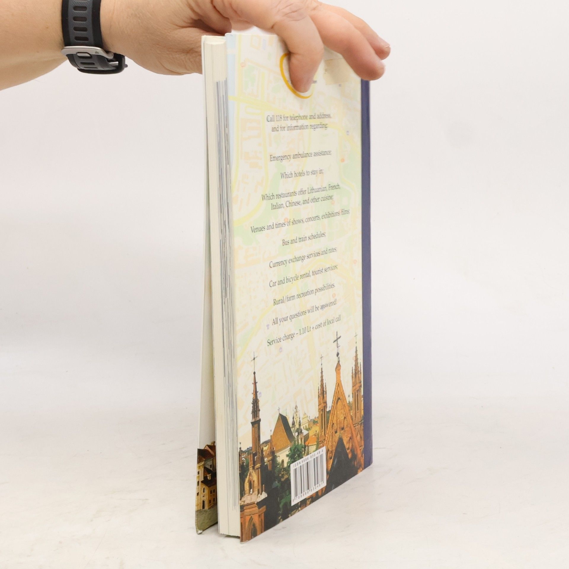 Tomas Venclova Vilnius : city guide