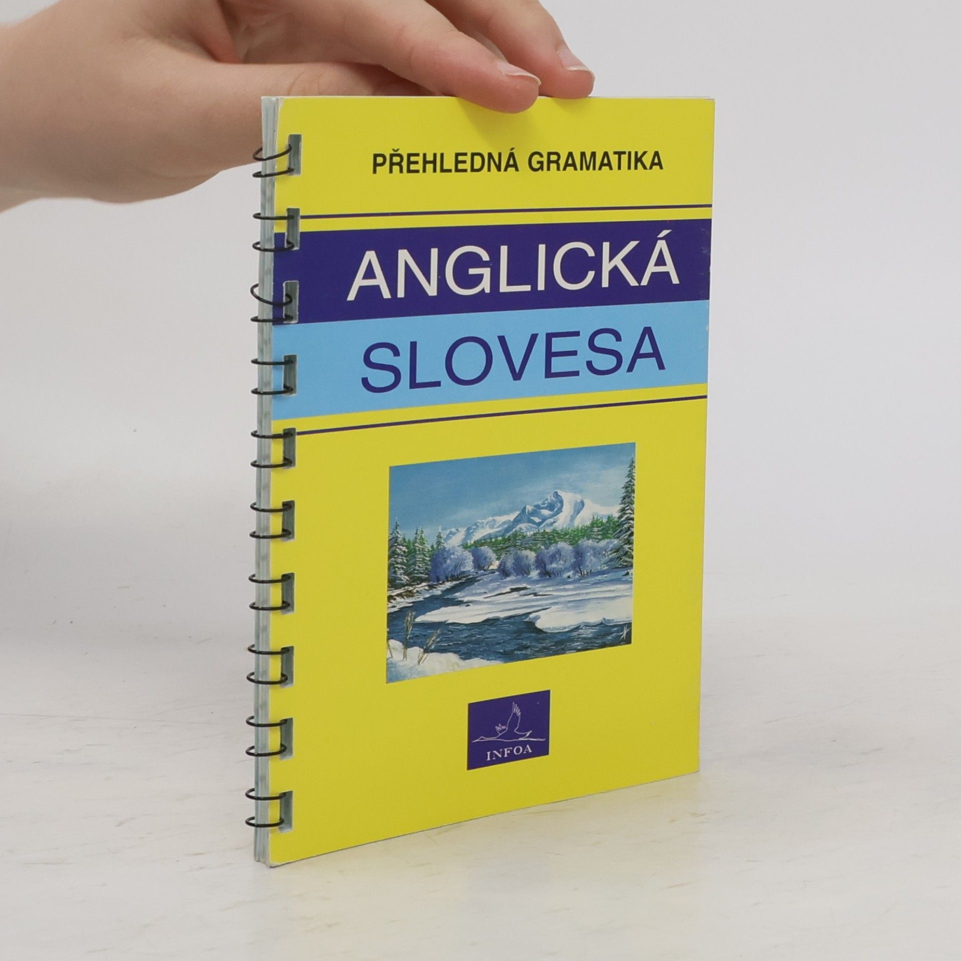 Various authors Anglická slovesa : přehledná gramatika