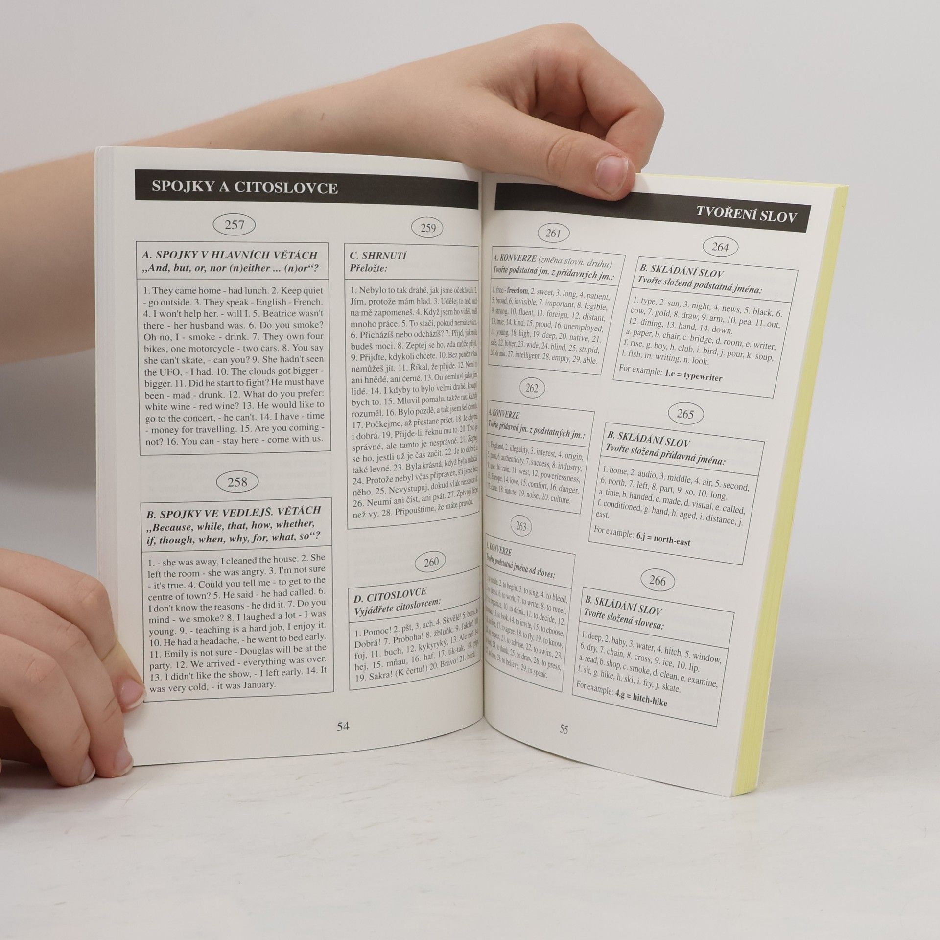 Sylvie Svobodová English grammar practice