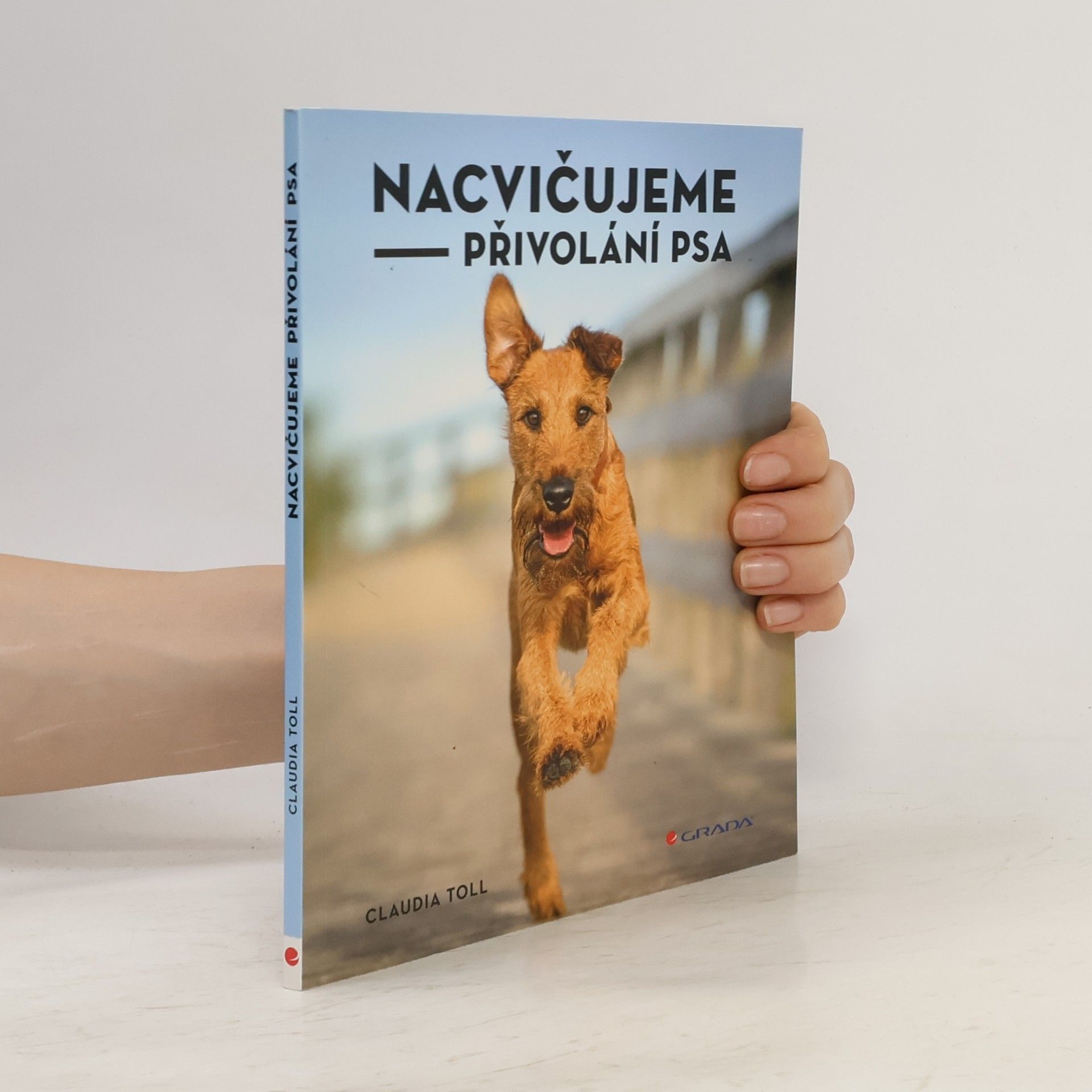 Nacvičujeme přivolání psa