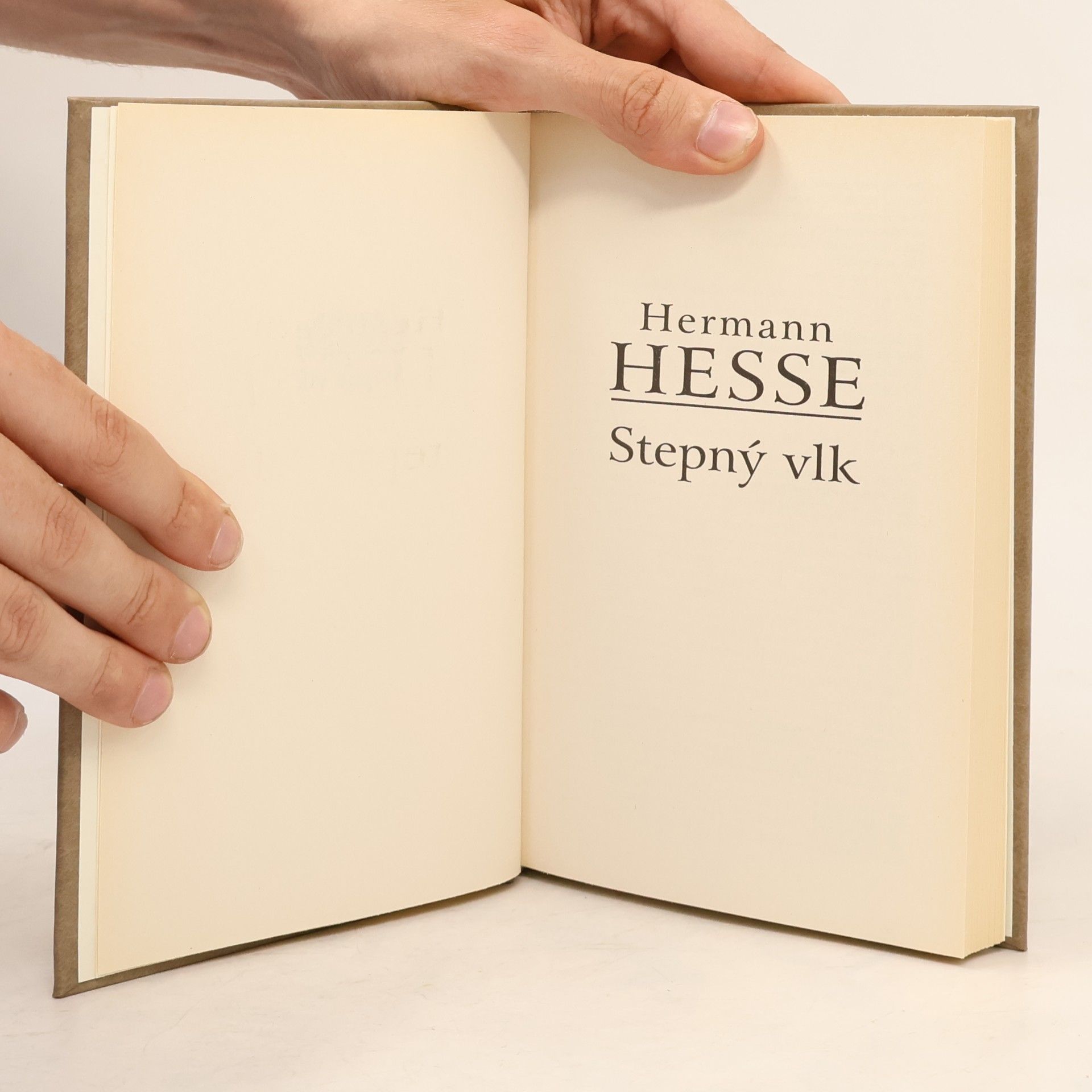 Hermann Hesse Stepný vlk