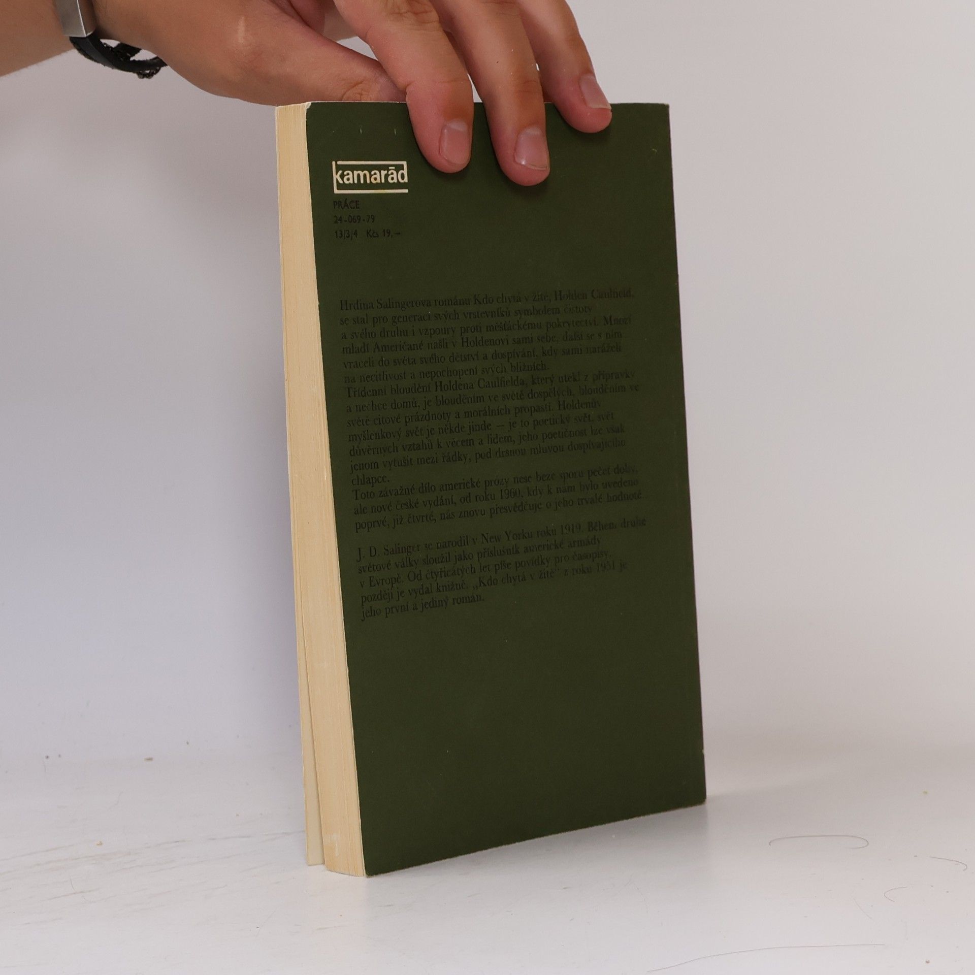 J. D. Salinger Kdo chytá v žitě