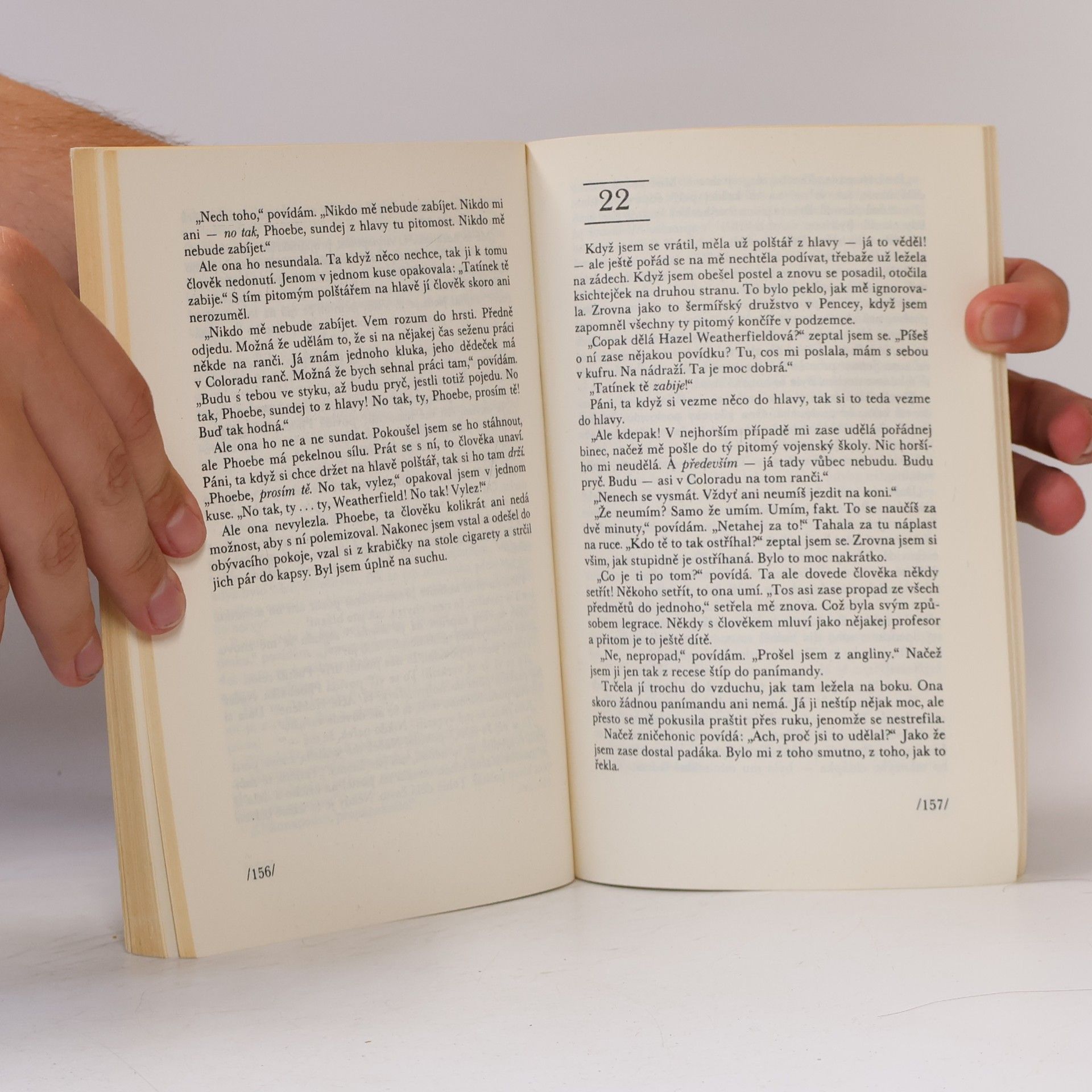 J. D. Salinger Kdo chytá v žitě