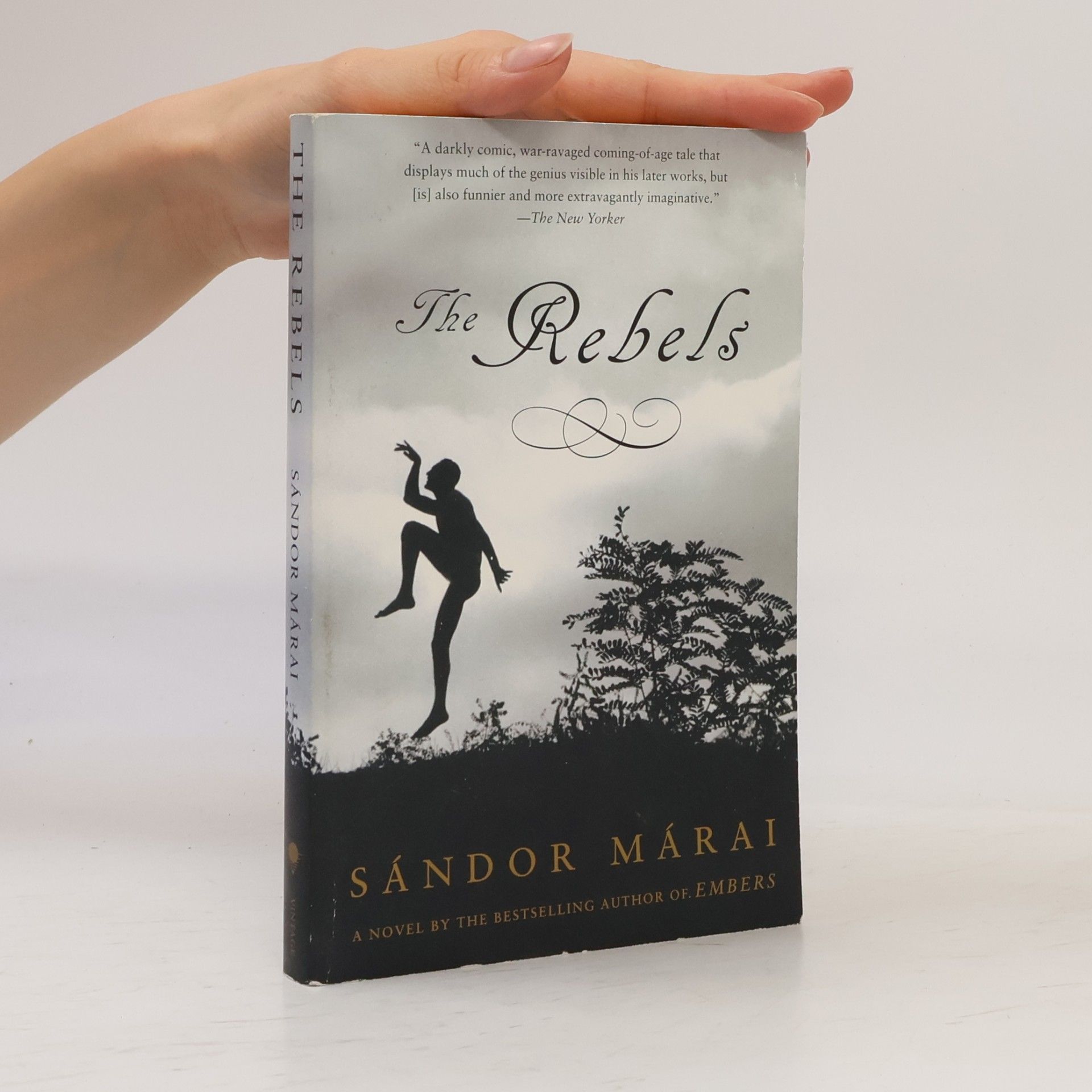 Sándor Márai The Rebels