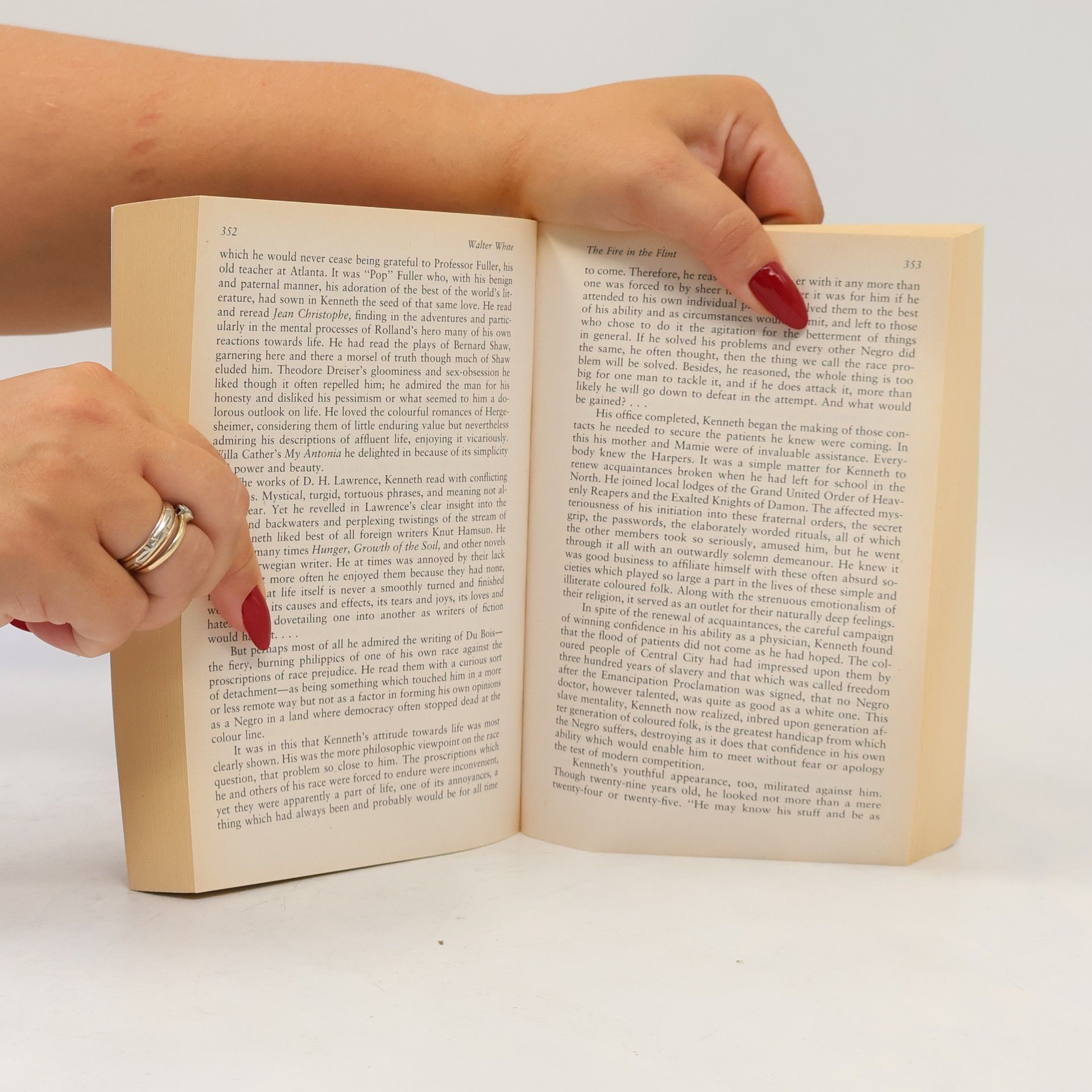 David Levering Lewis The Portable Harlem Renaissance Reader
