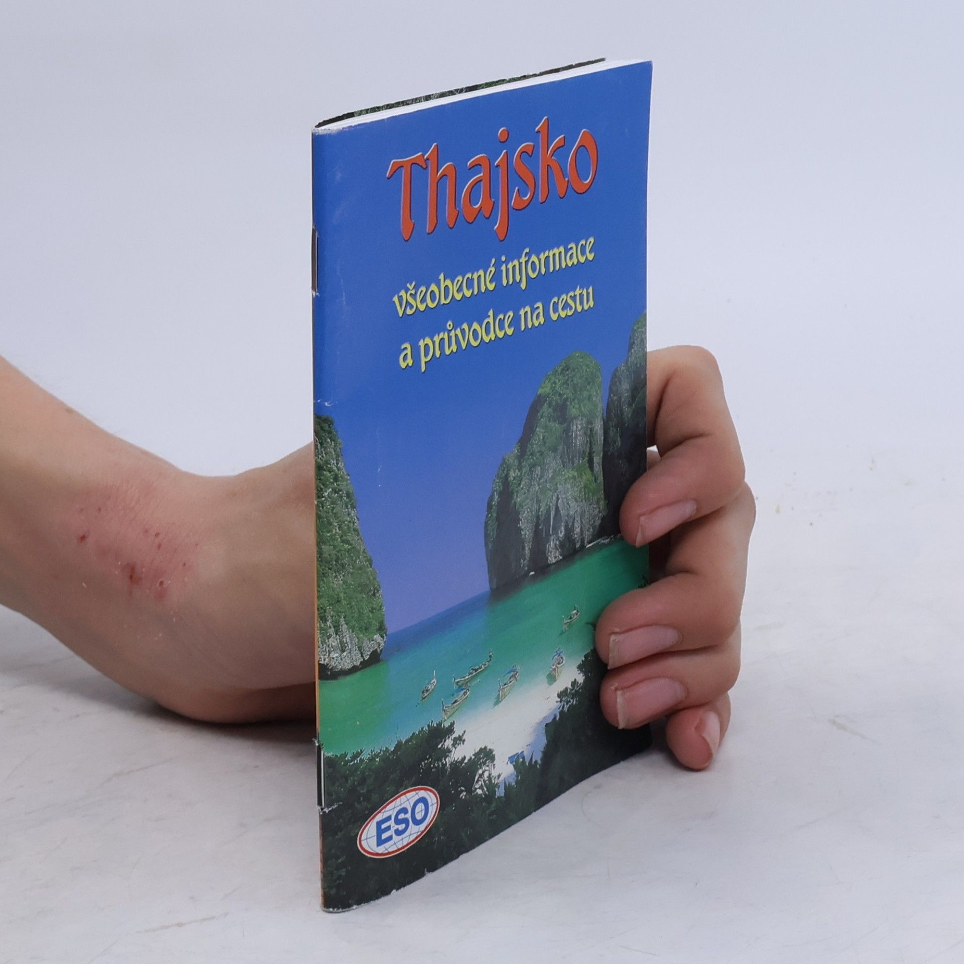Autorenkollektiv Thajsko : všeobecné informace a průvodce na cestu
