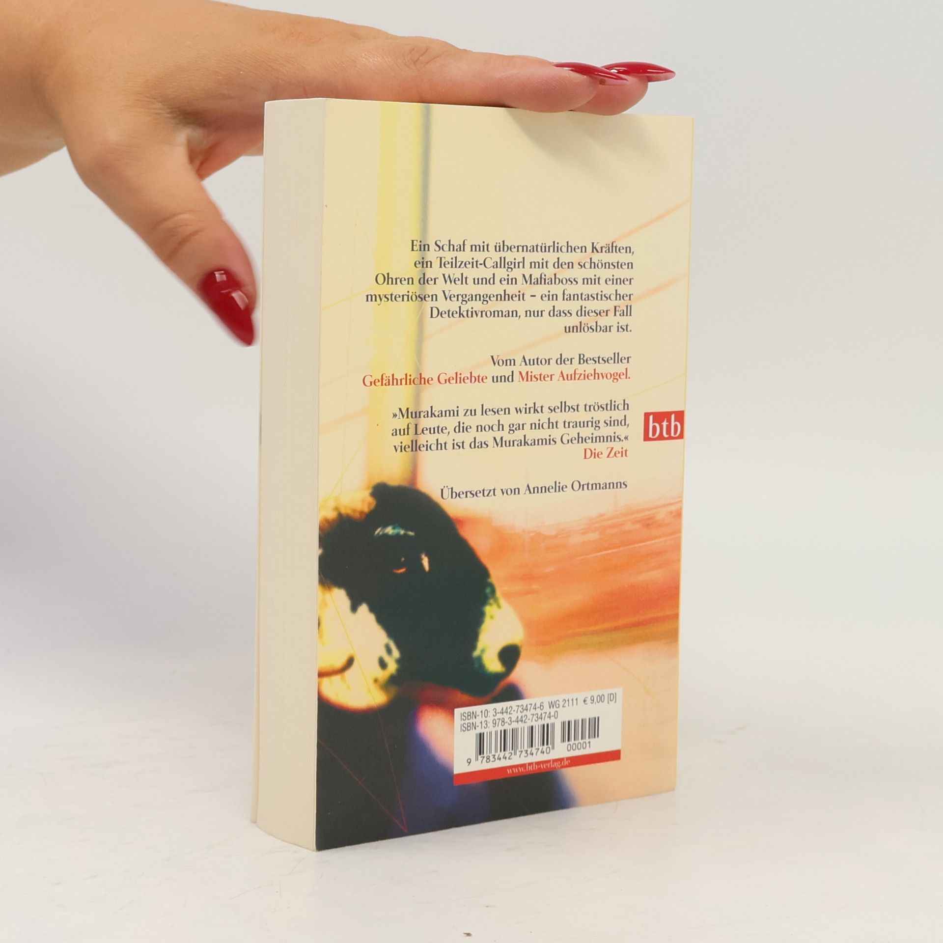 Haruki Murakami Wilde Schafsjagd